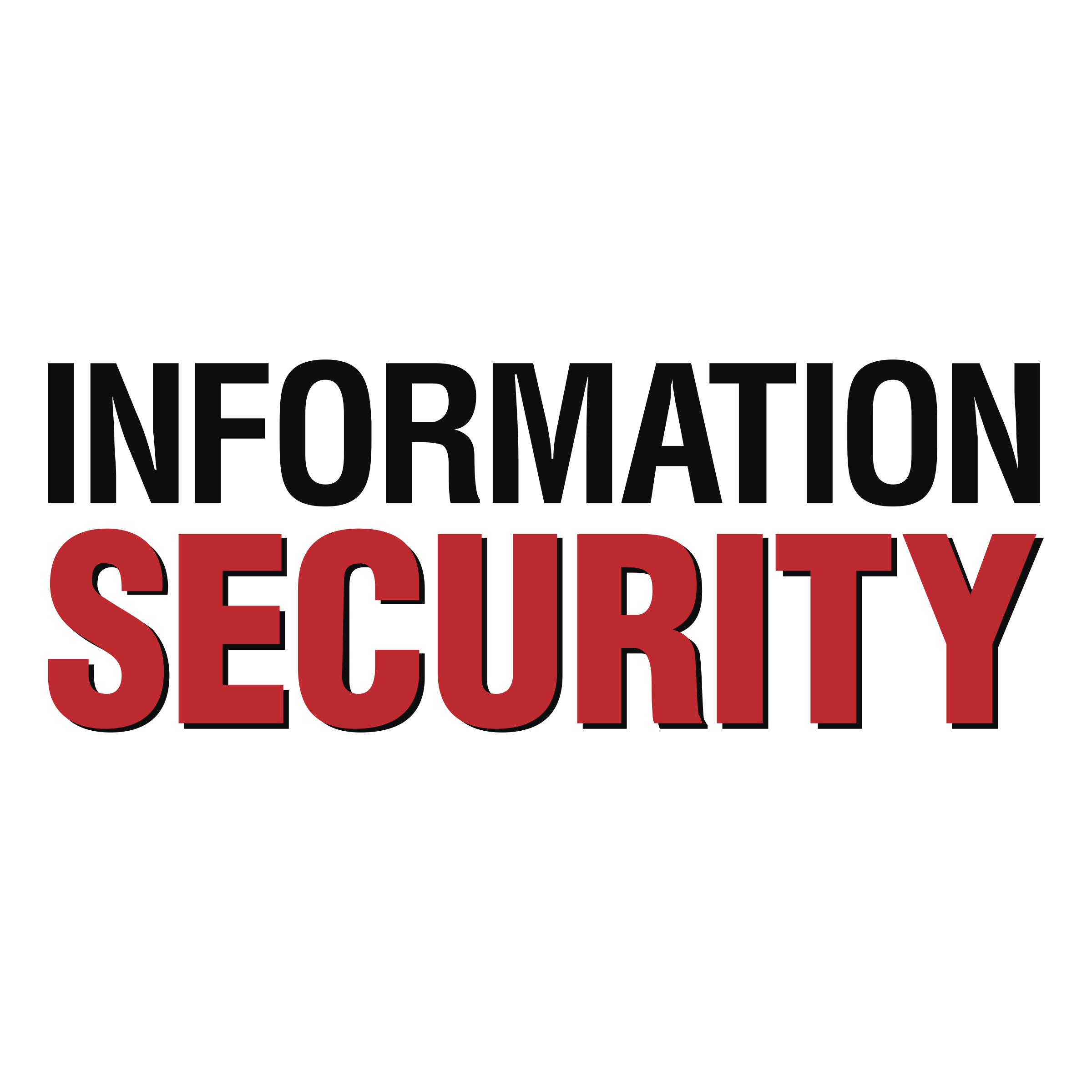 cyber security logo