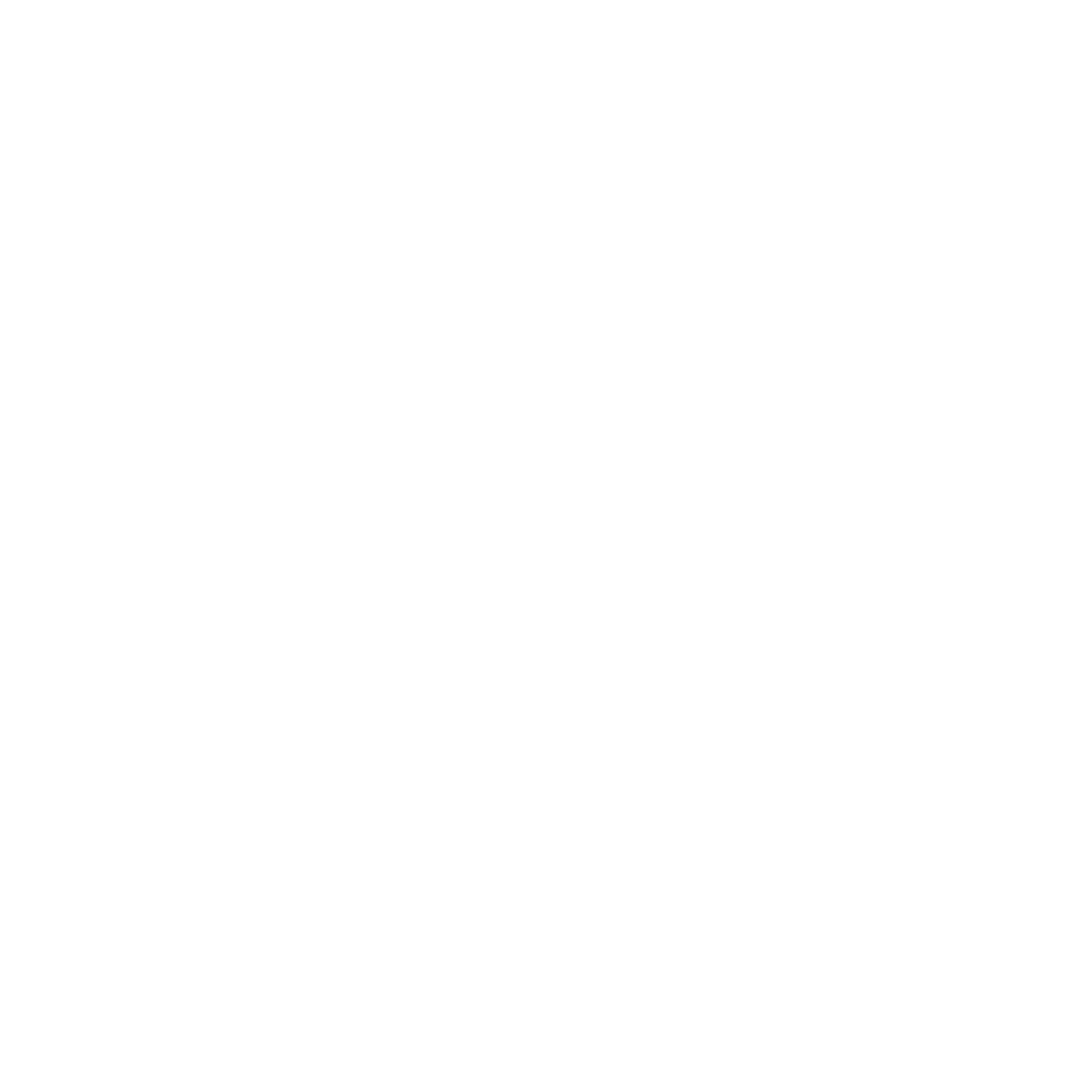 Input Software Logo black and white