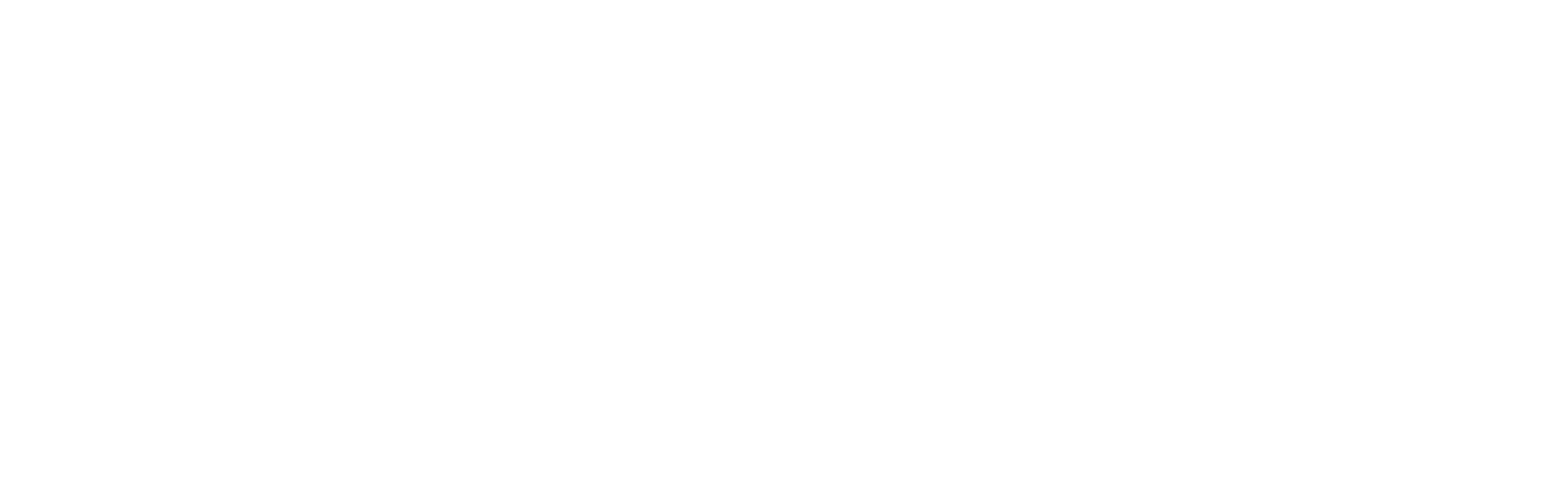 Instabug Logo black and white