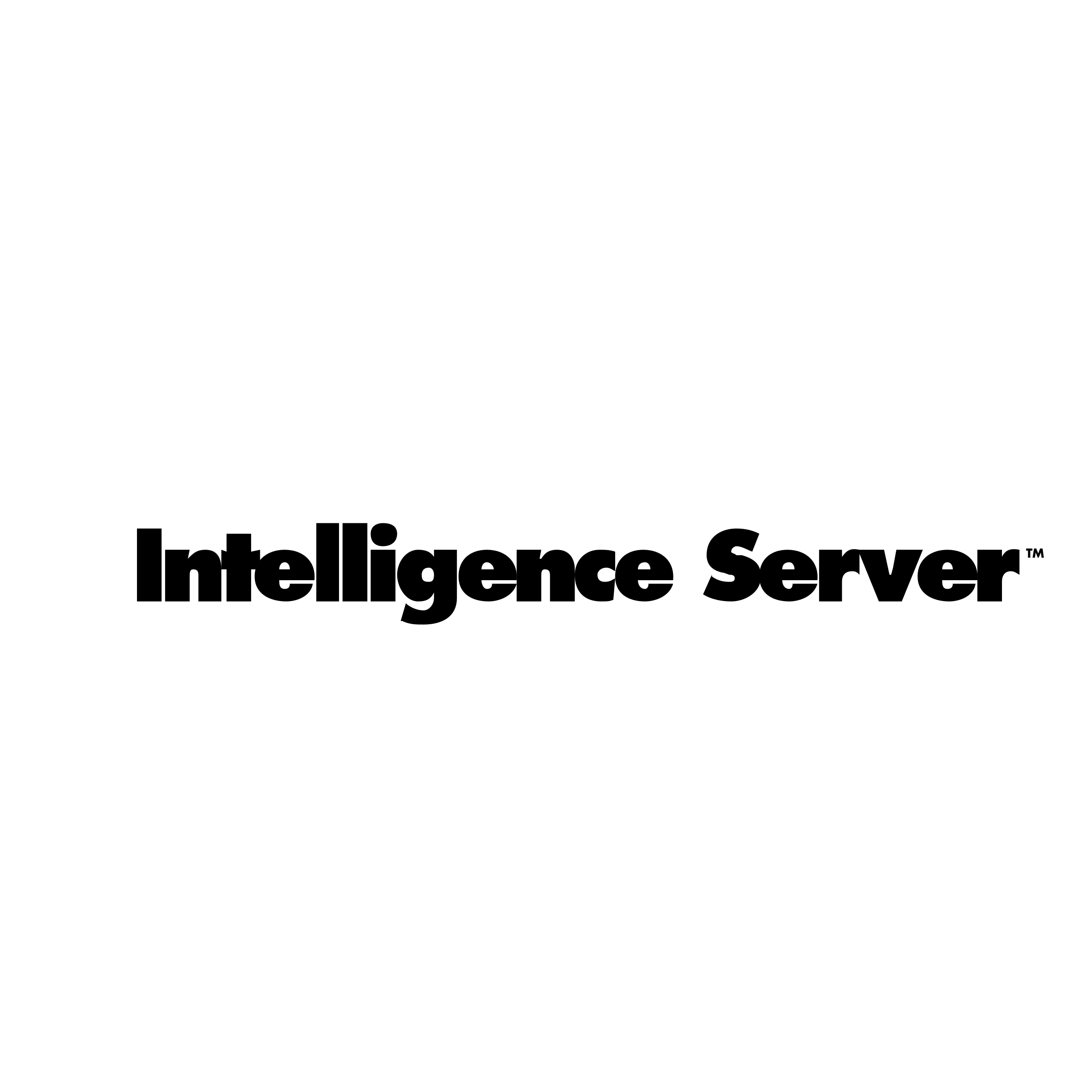 Intelligence Server Logo black and white