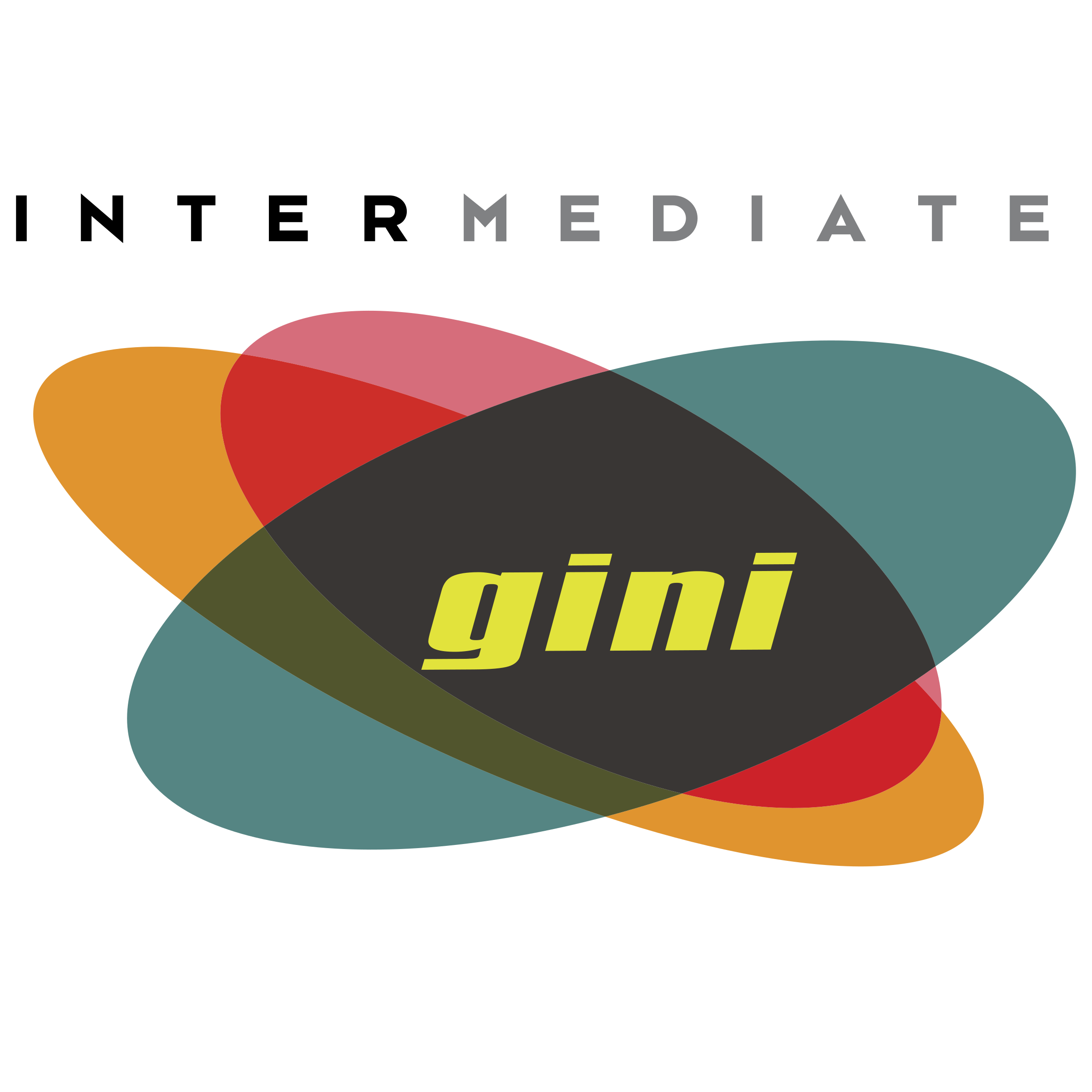Intermediate gini Logo png transparent