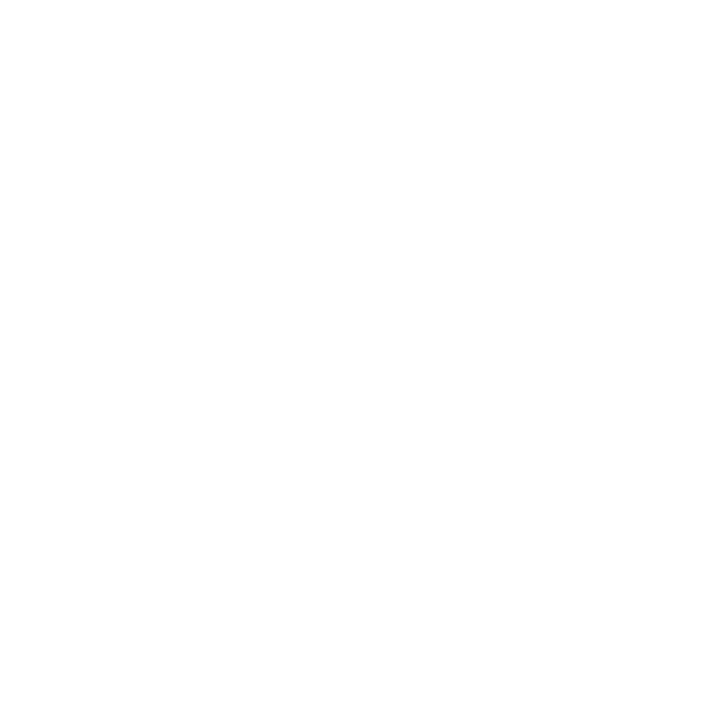 InterNovosti Logo black and white