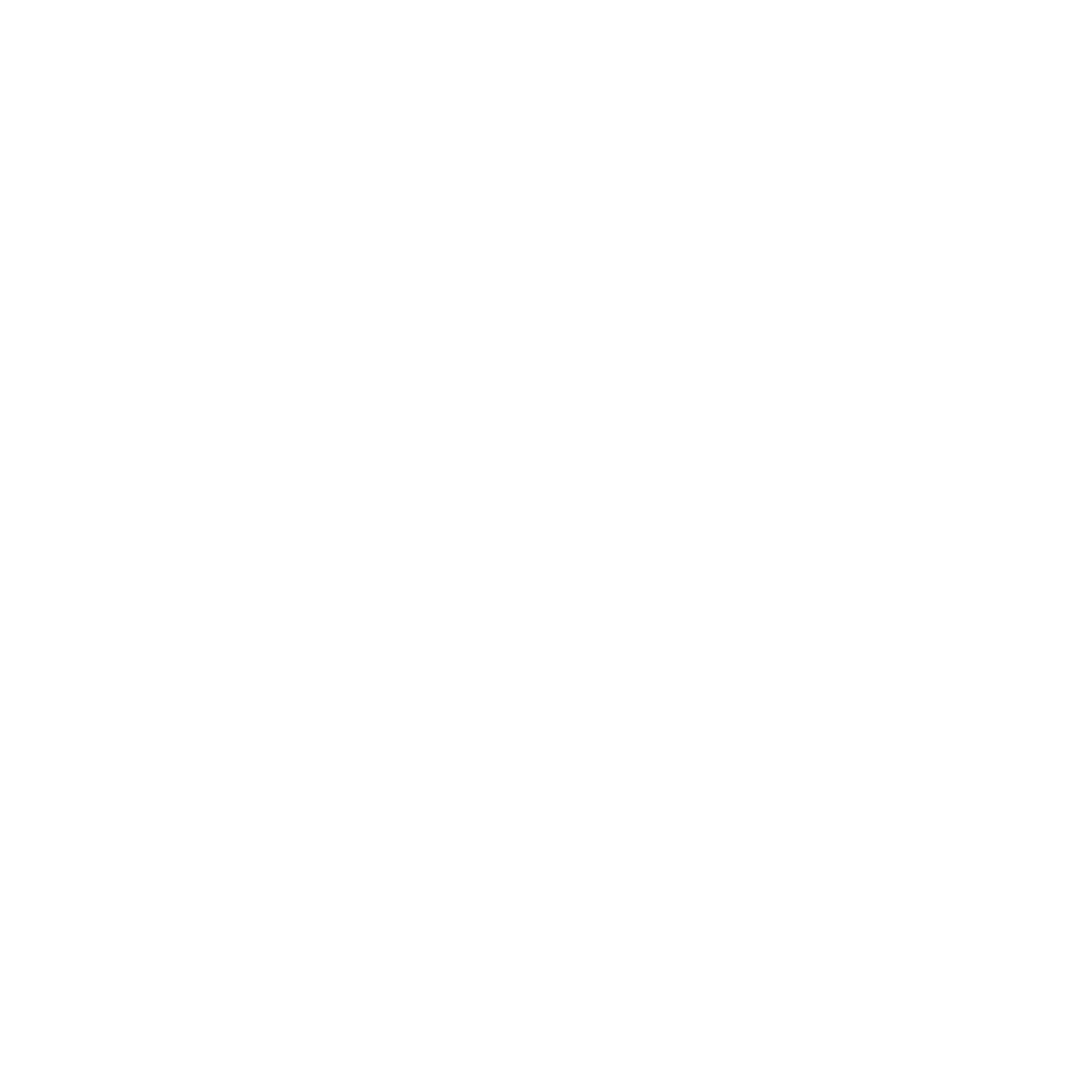 Ion Air Logo black and white