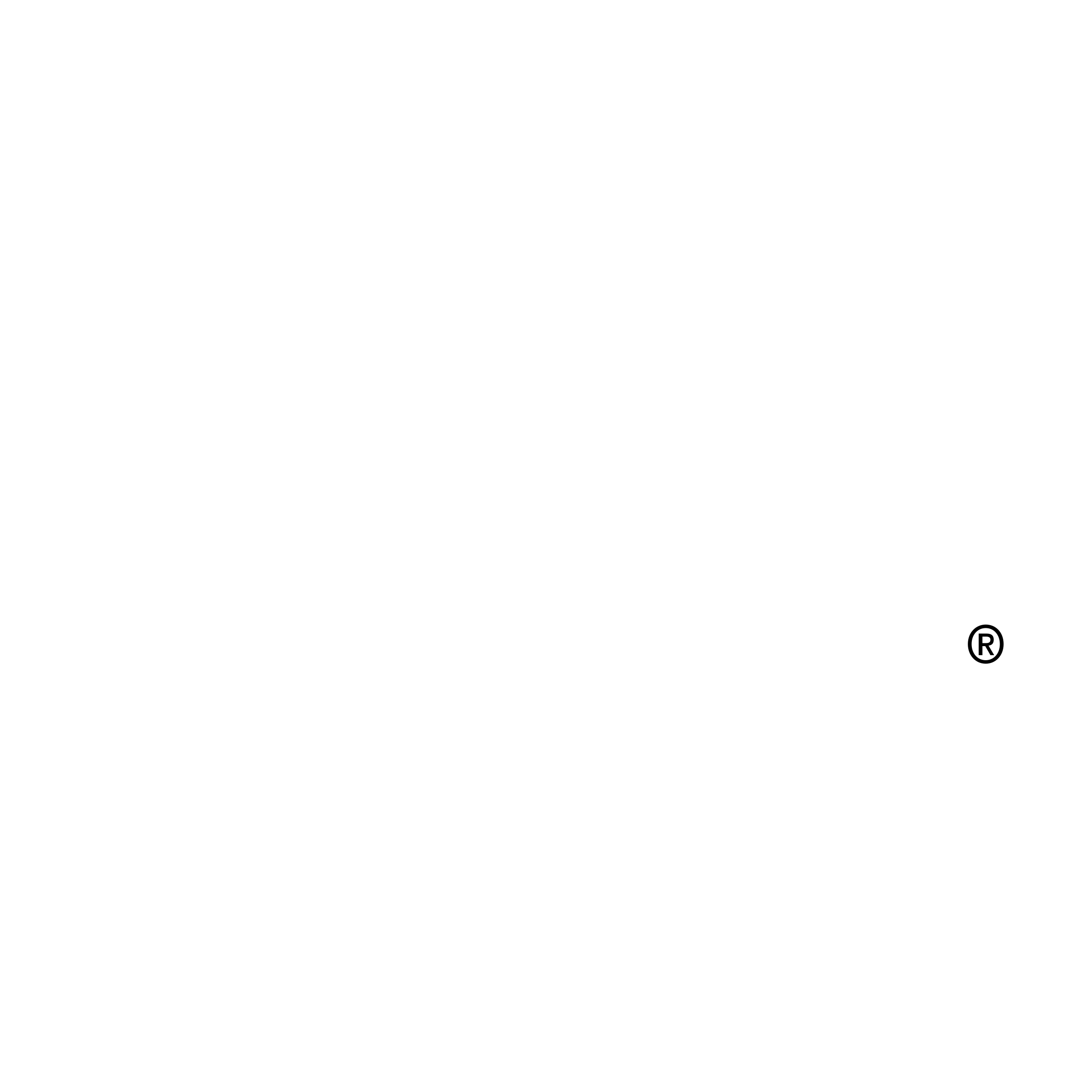 Jakks Pacific Logo black and white