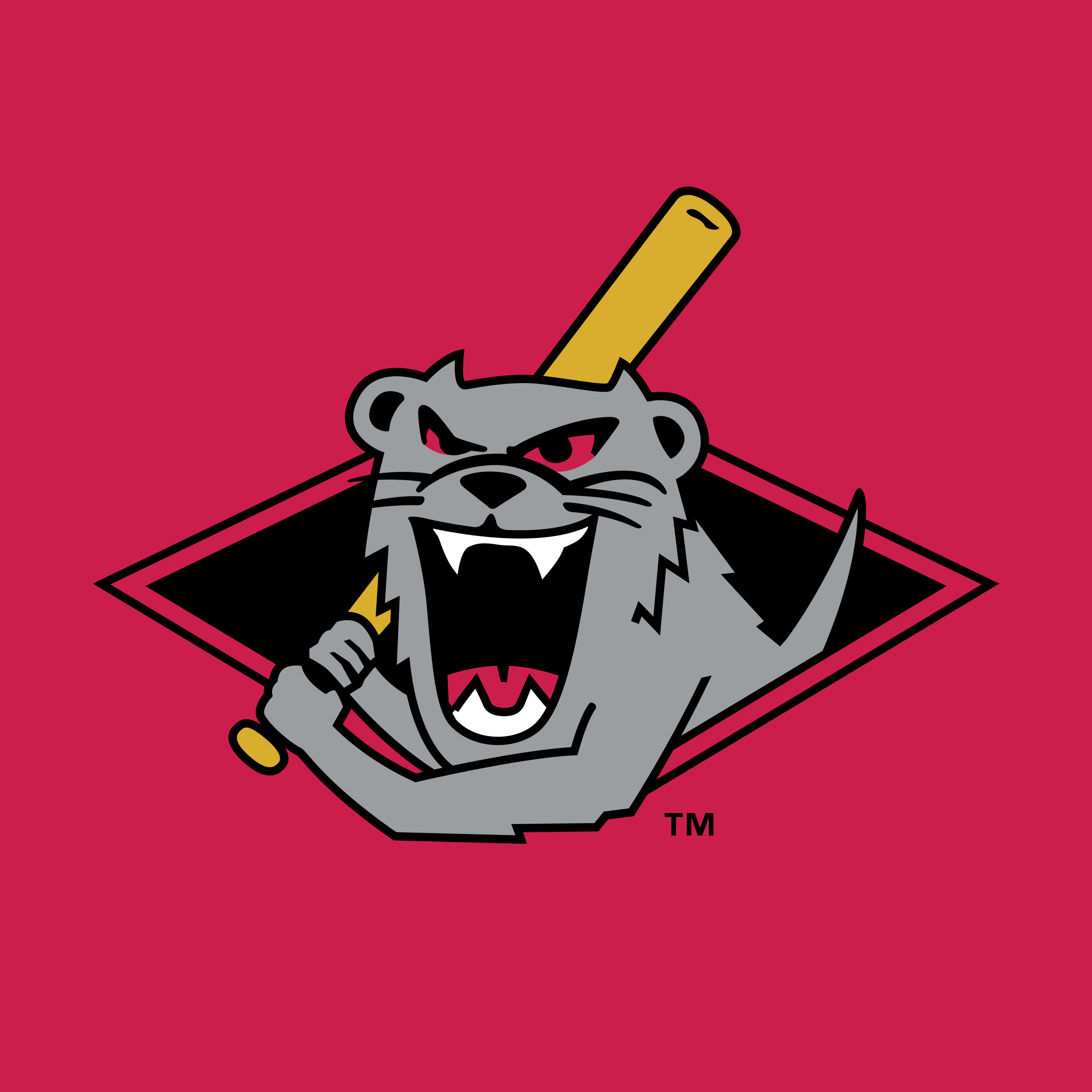 Jamestown Jammers Logo PNG Transparent & SVG Vector Freebie Supply