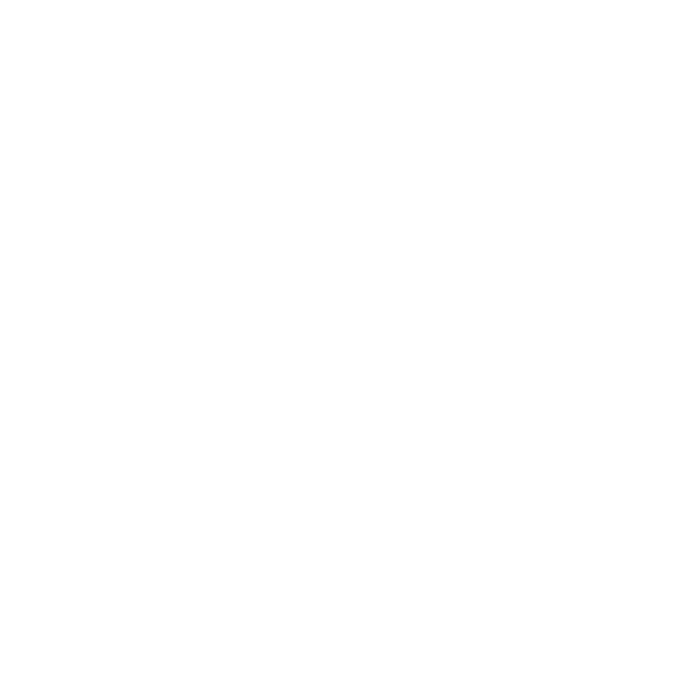 Jetair Logo black and white