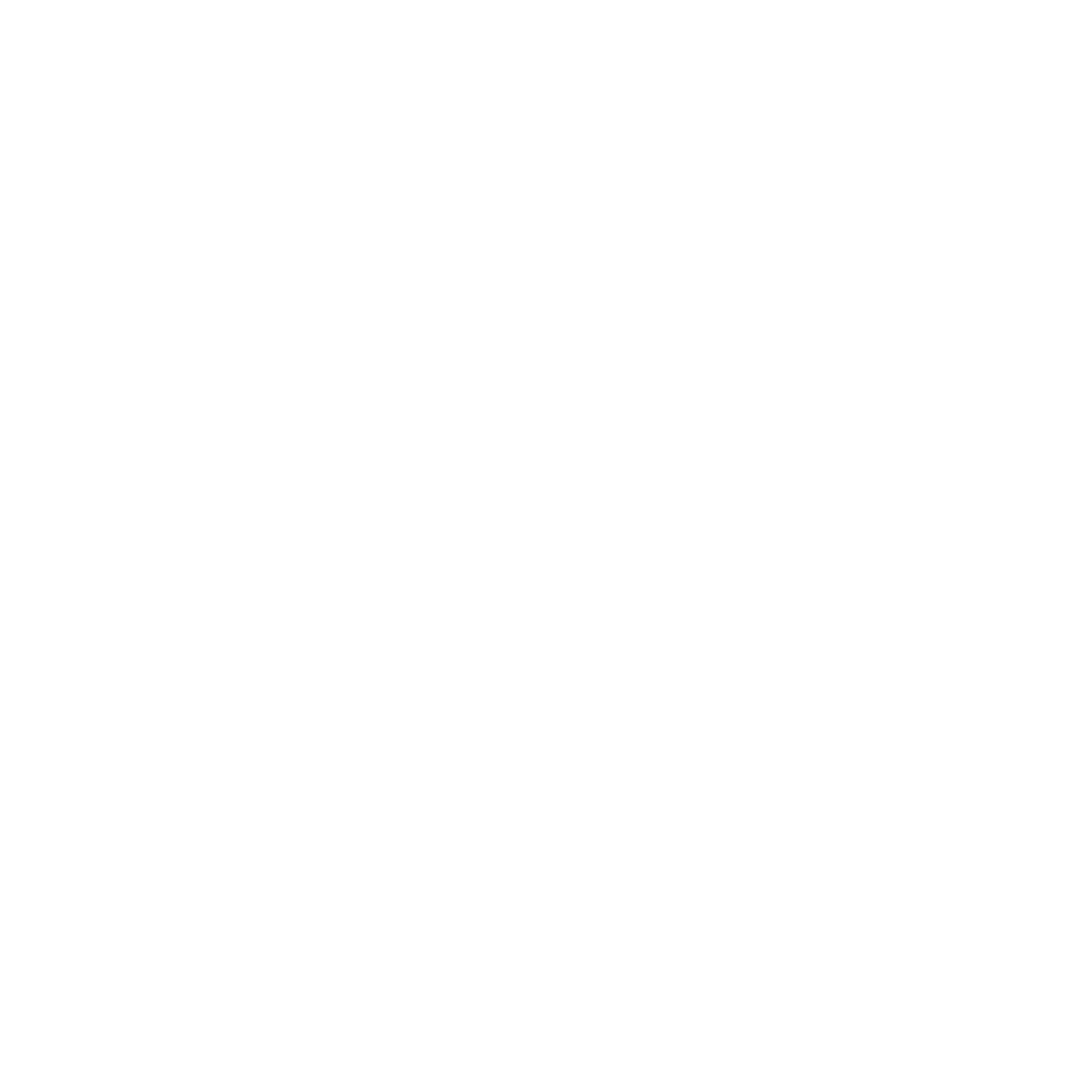 JettSoft Logo black and white