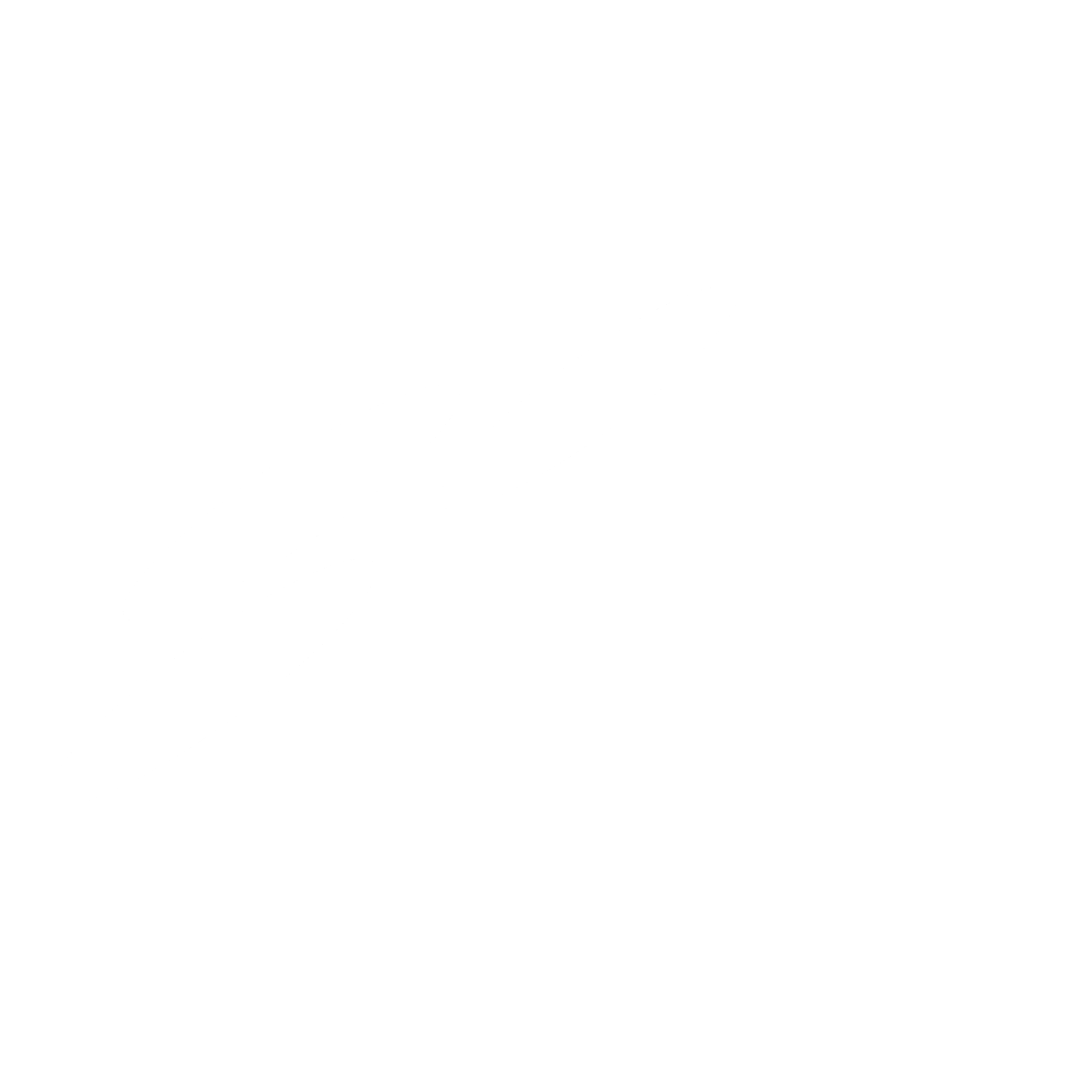 lahr net Logo black and white