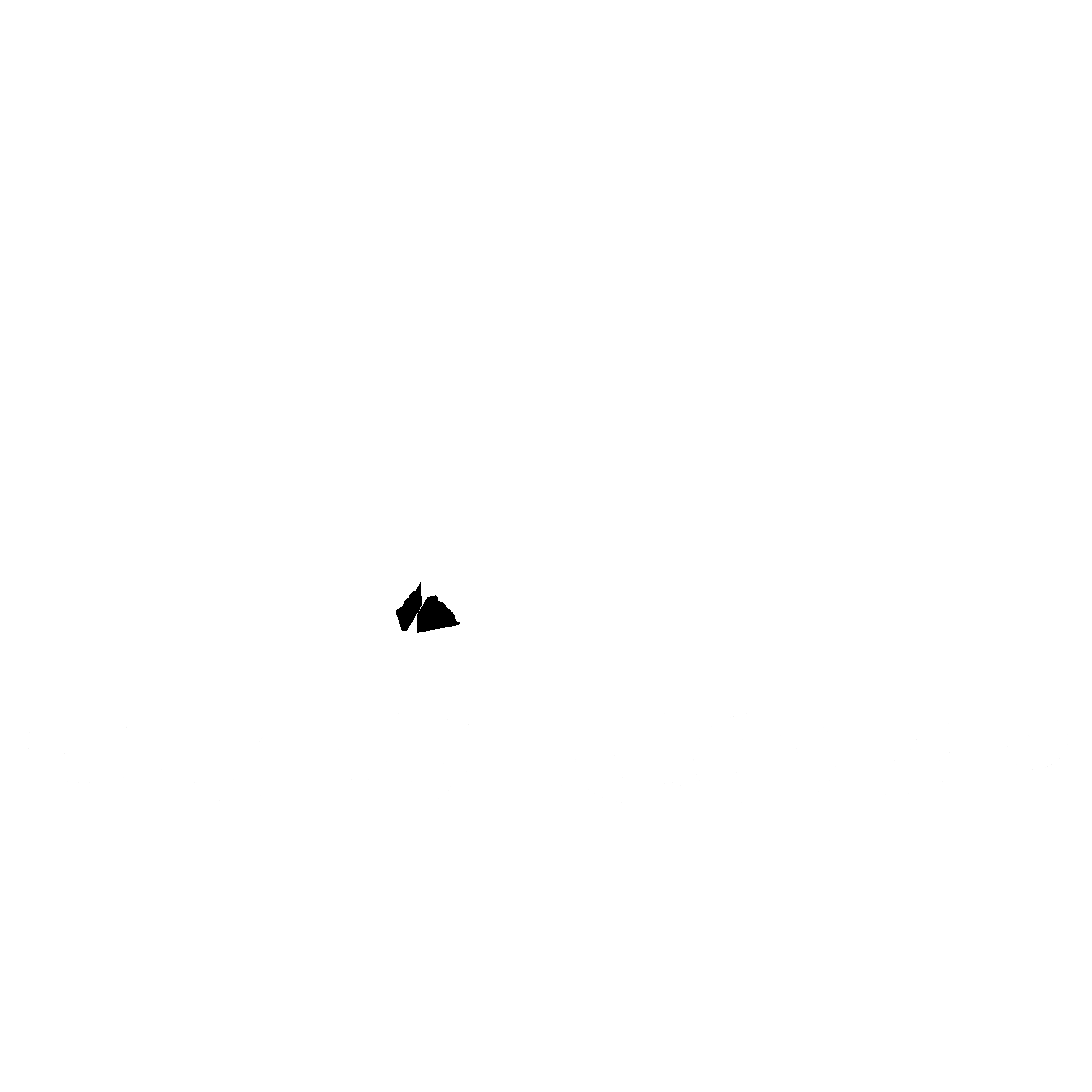 Leasecorp Logo black and white