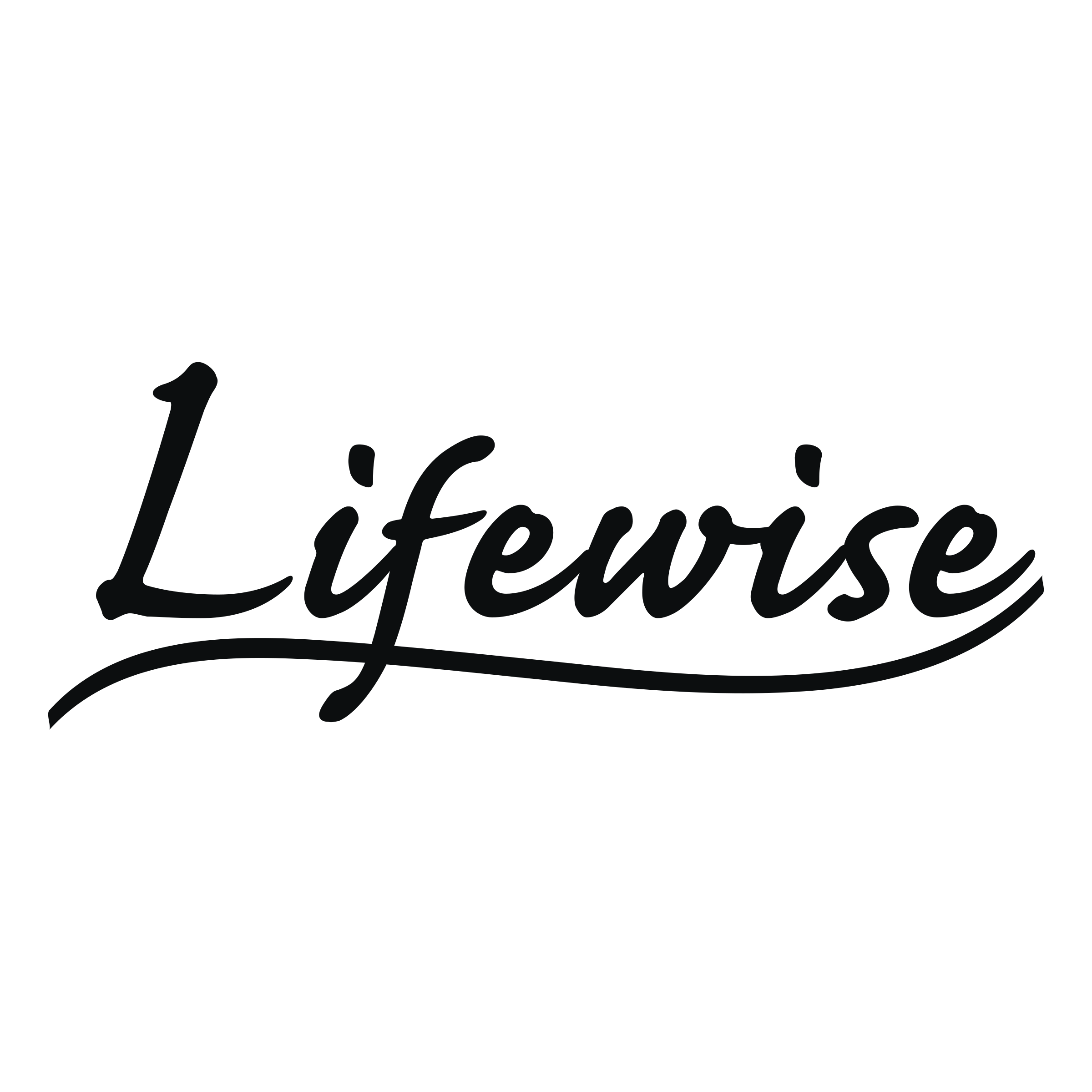 Lifewise Logo png transparent