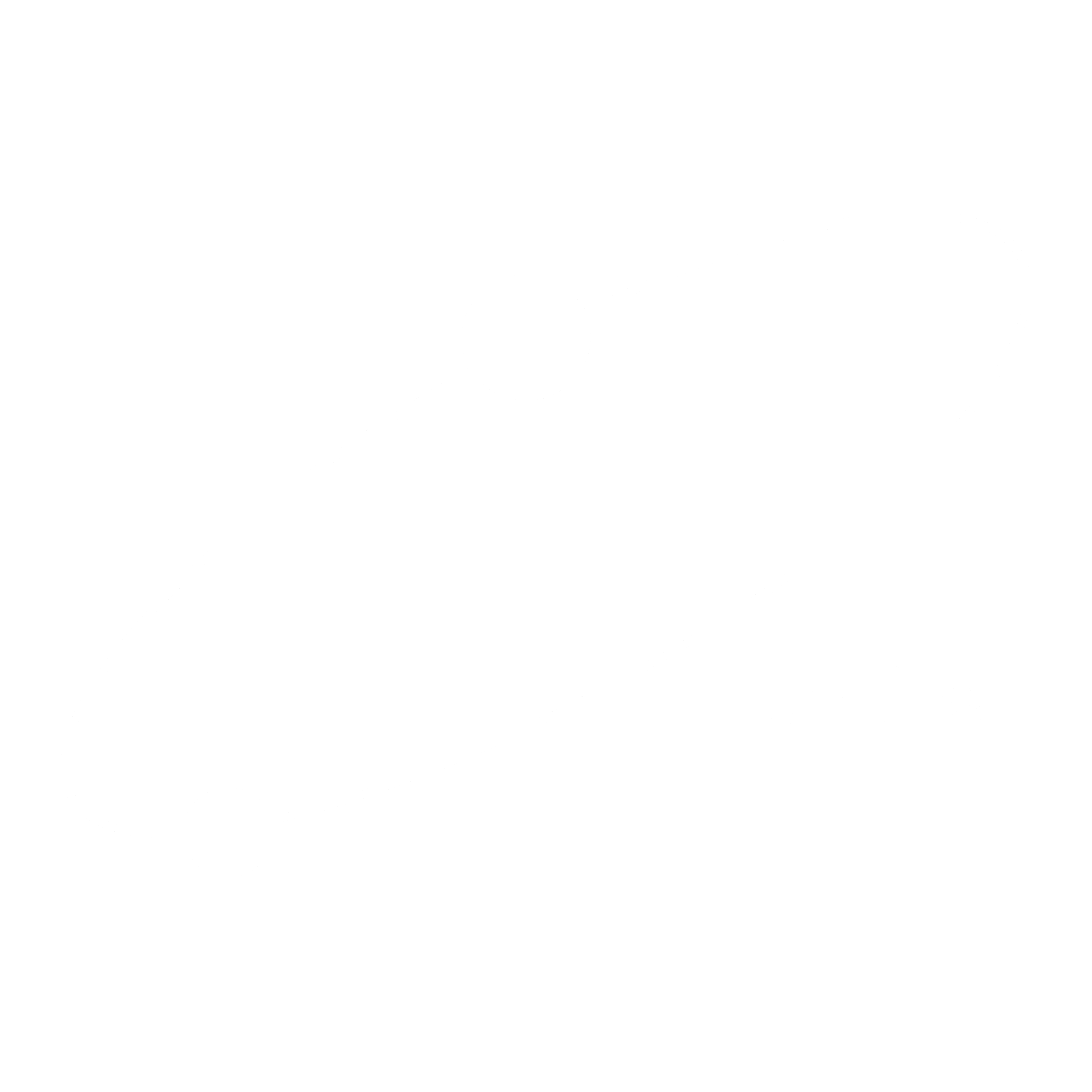 Lisa Holding Logo black and white