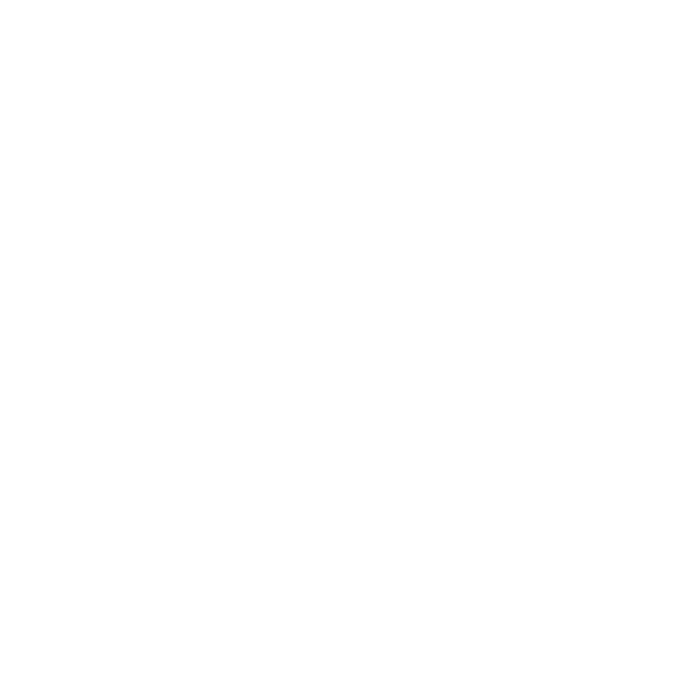 LNT Logo black and white