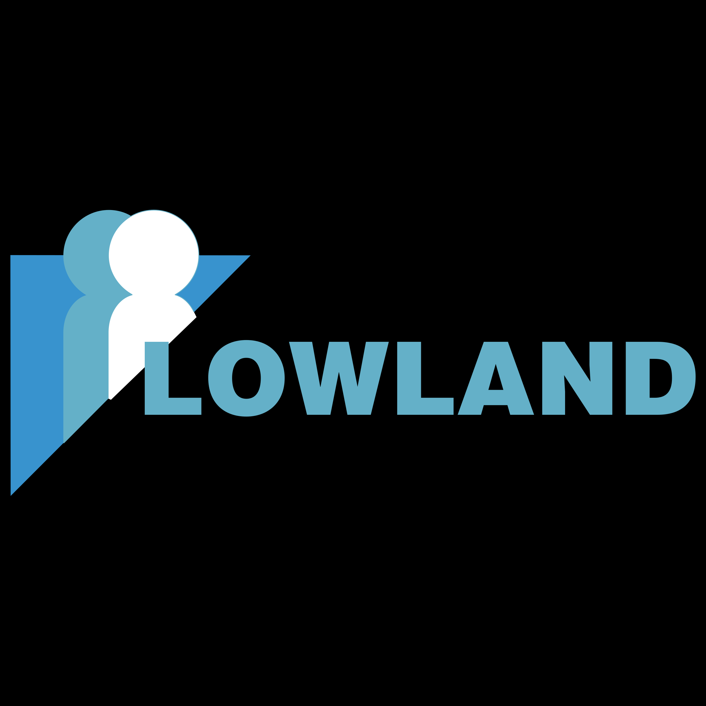 Lowland Medical Services Logo png transparent