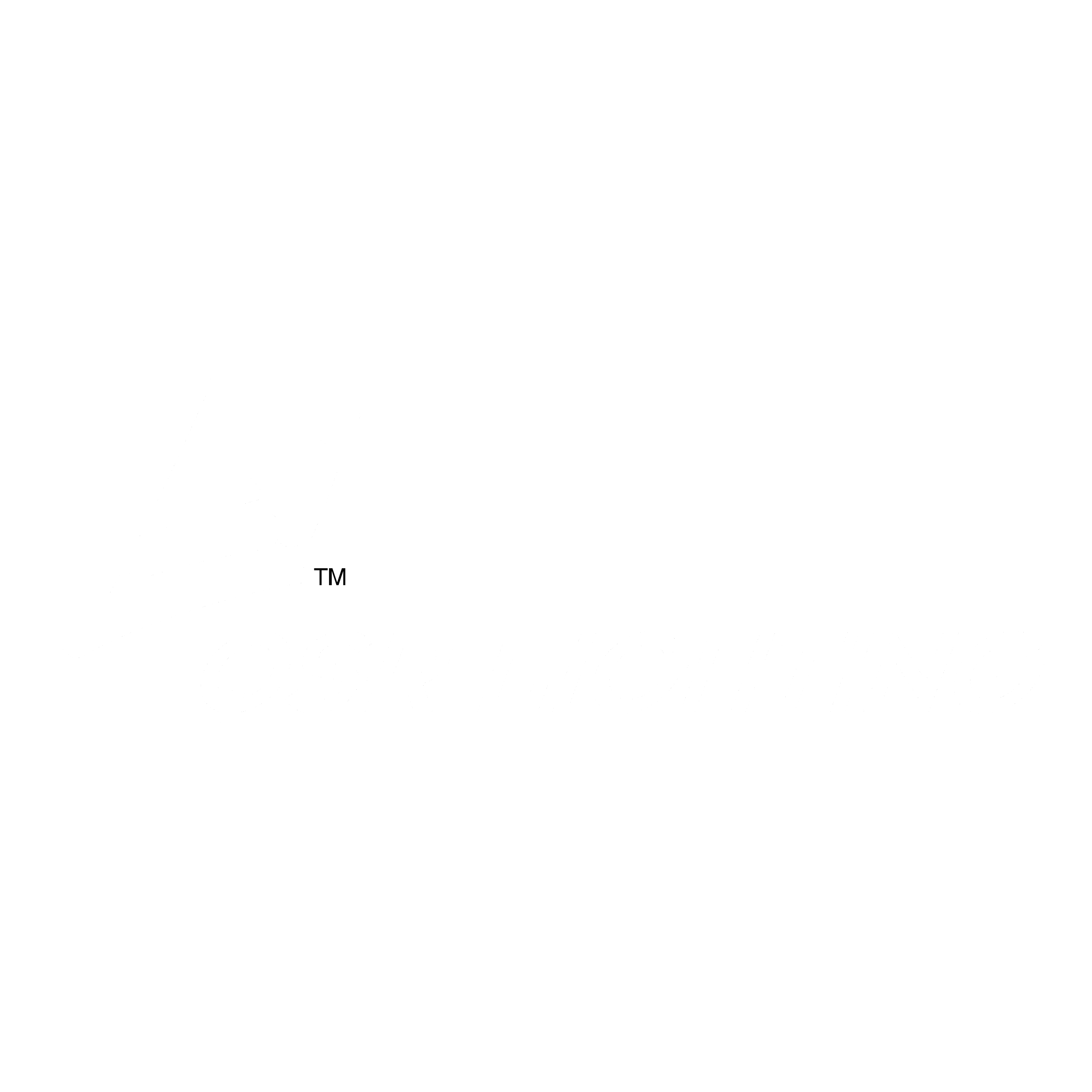 LSI QSR Lighting Logo black and white