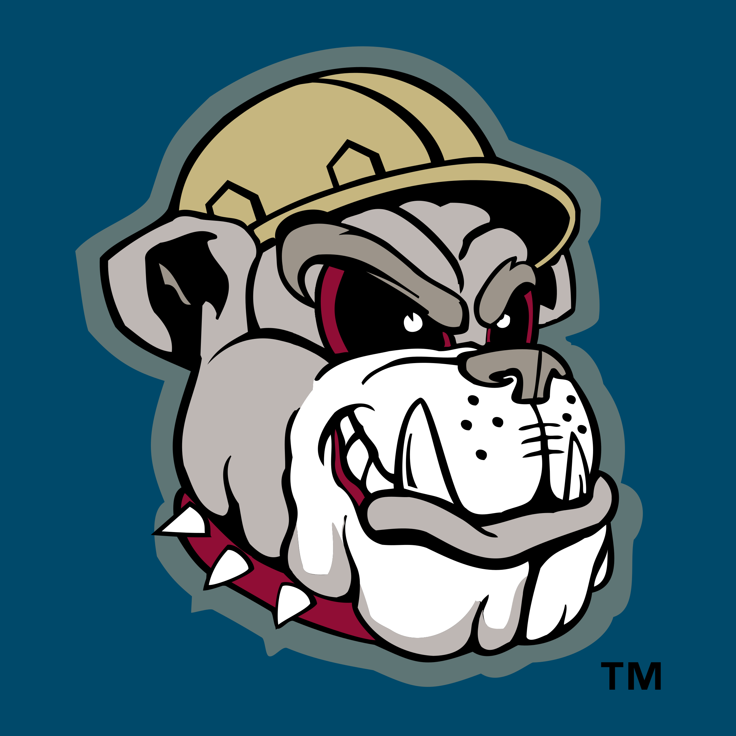 Mahoning Valley Scrappers Logo png transparent