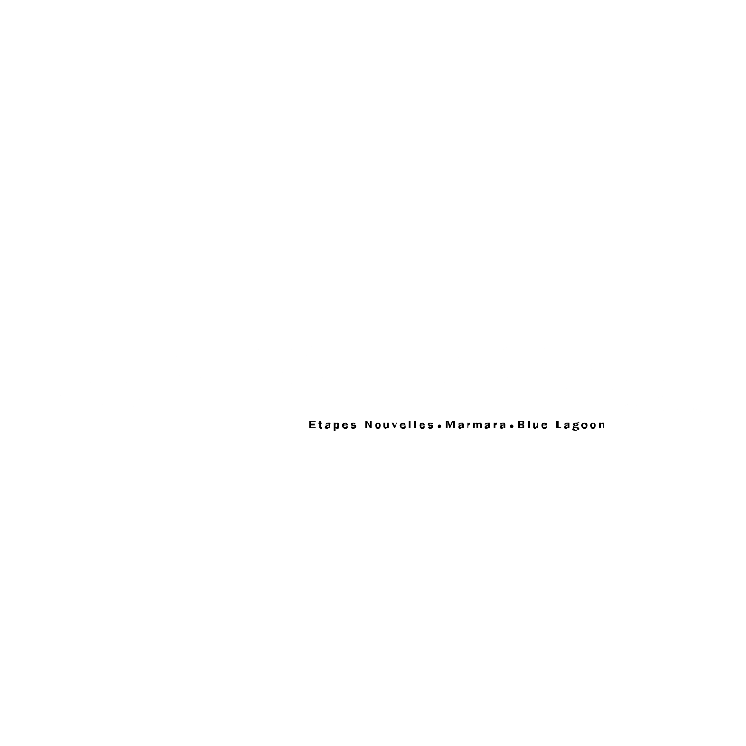Marmara Groupe Logo black and white
