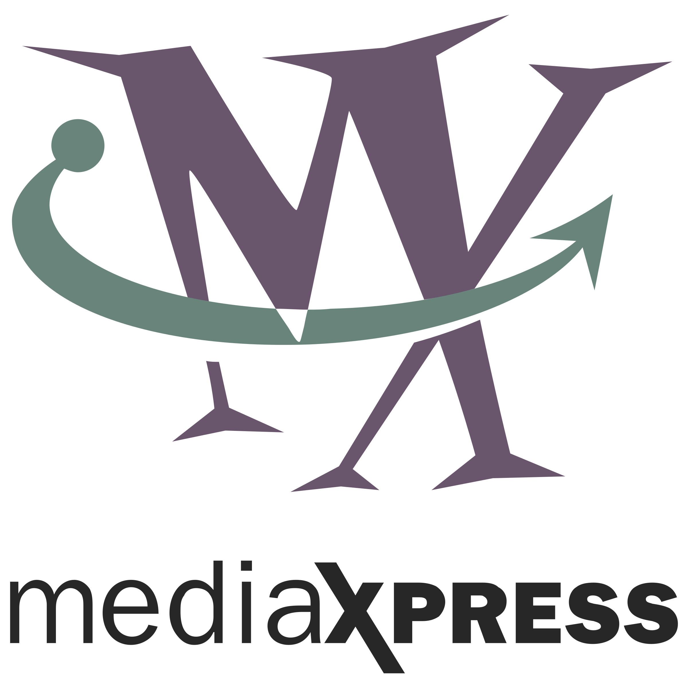 MediaXpress Logo png transparent