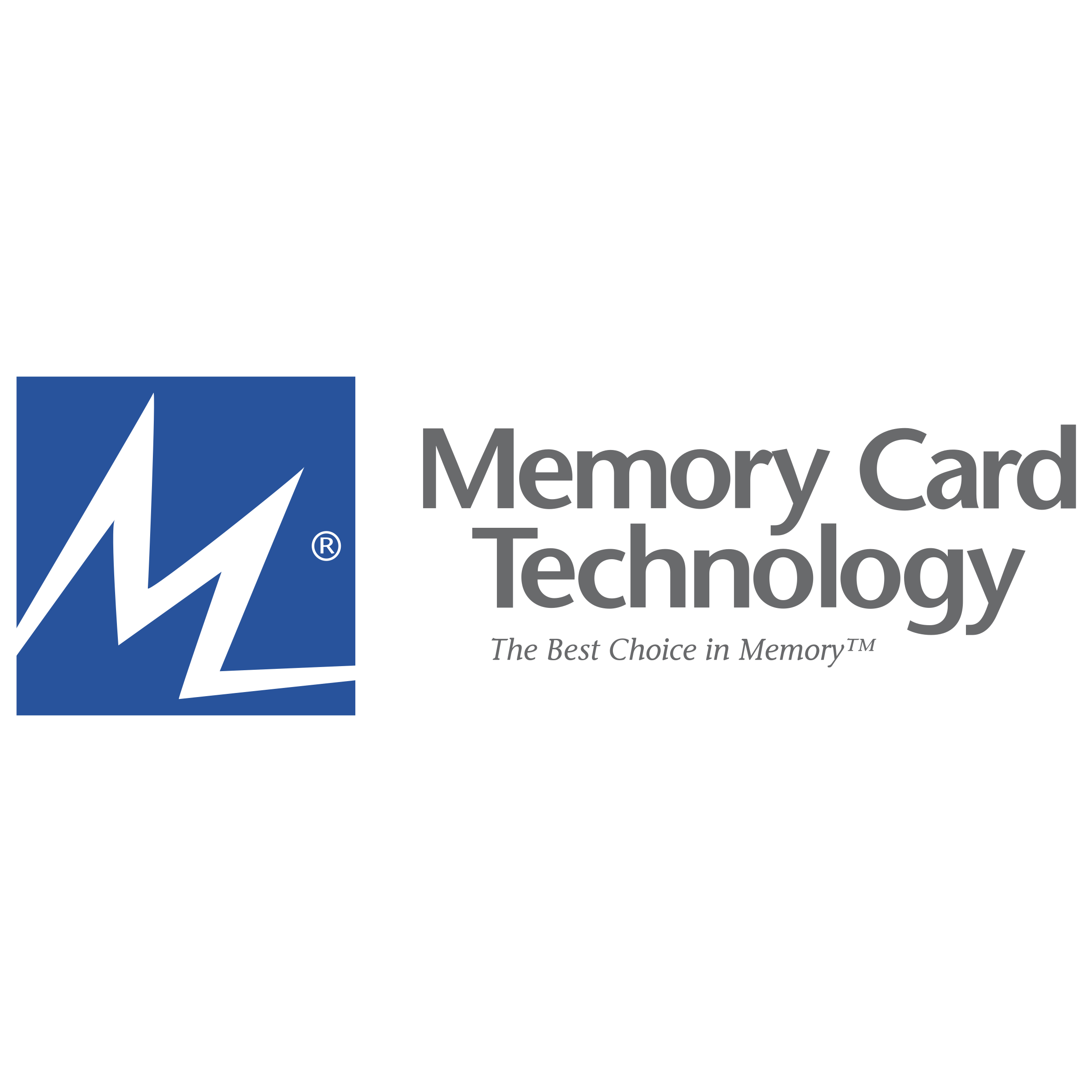 Memory Card Technology Logo png transparent