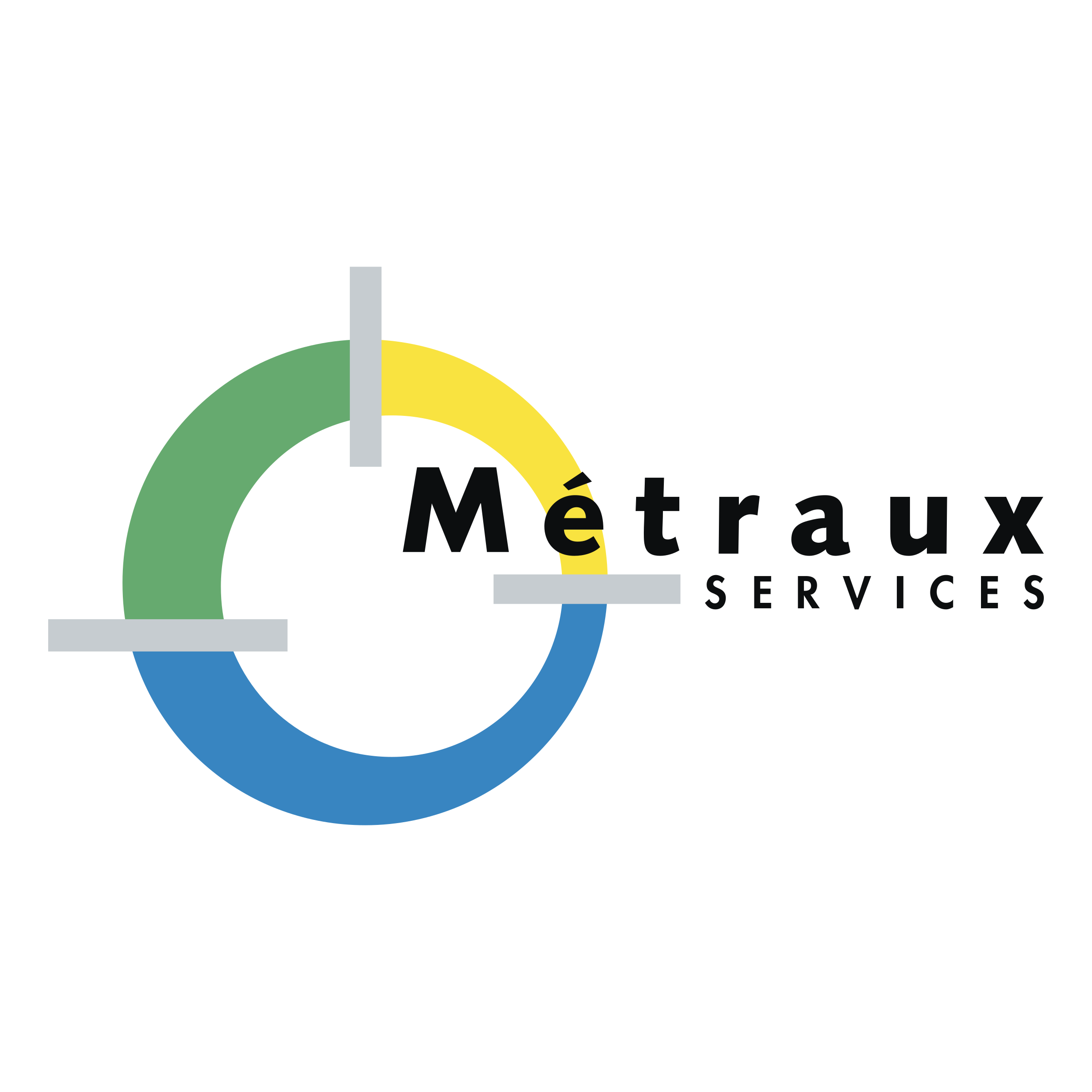 Metraux Services Logo png transparent