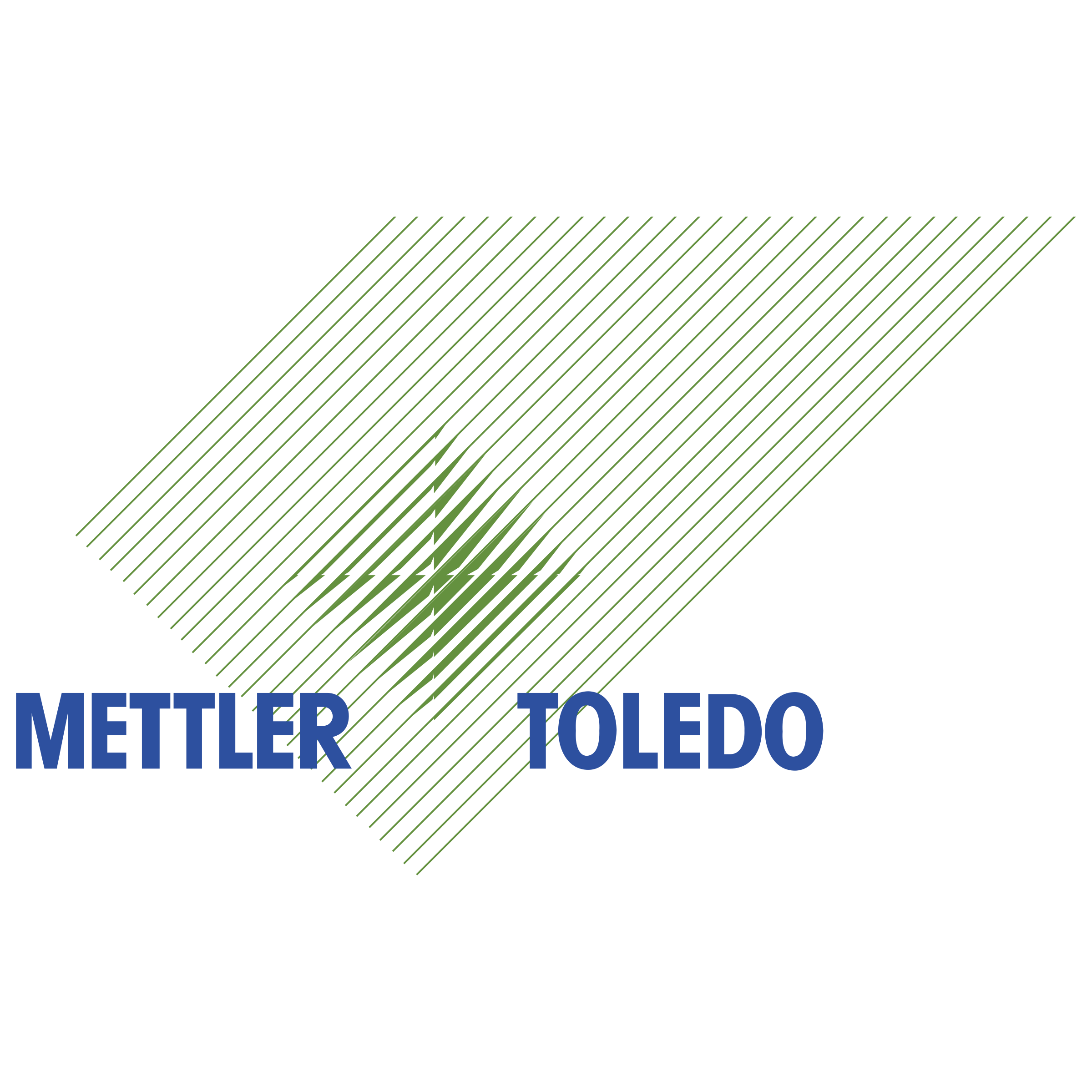 Mettler Toledo Logo png transparent