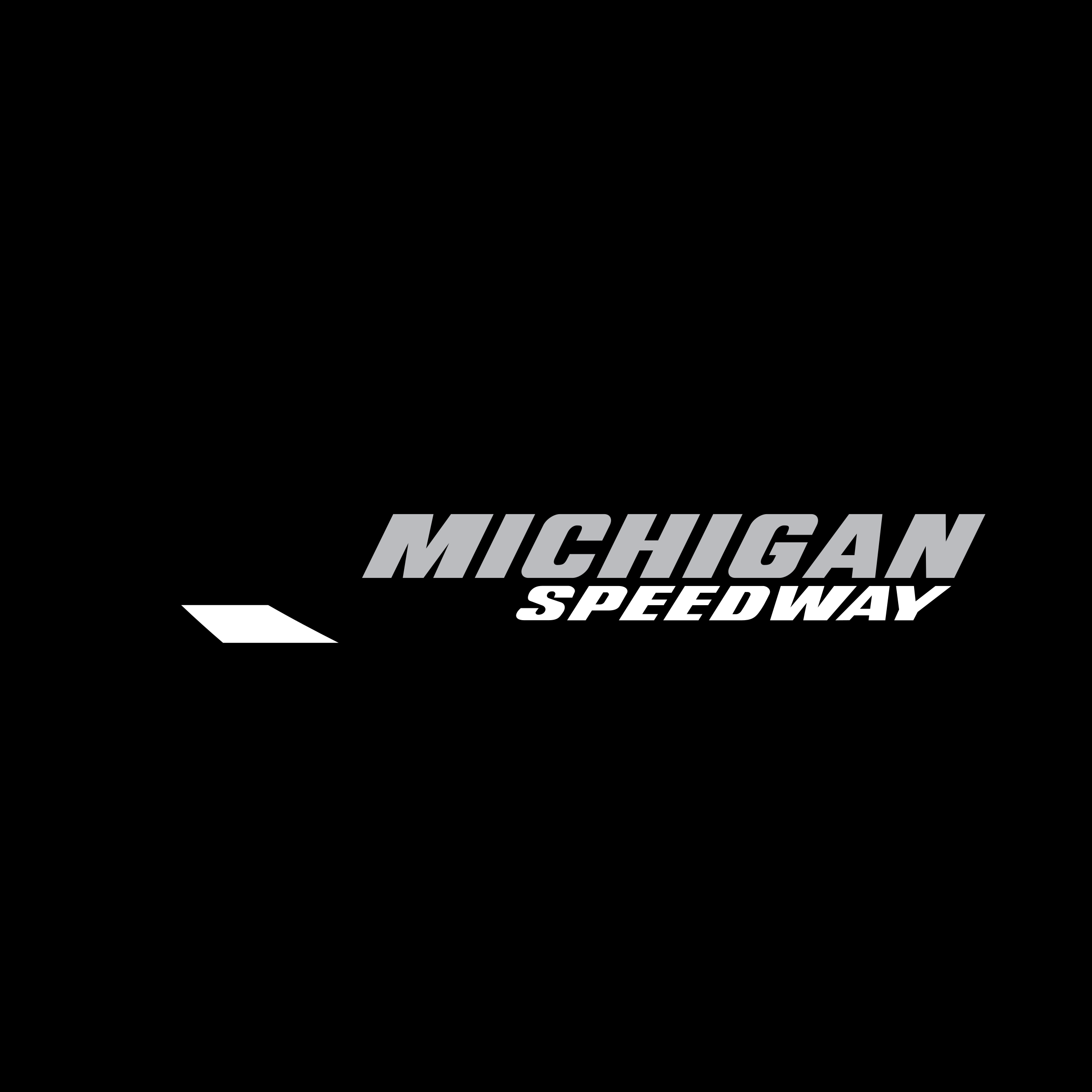 Michigan Speedway Logo png transparent