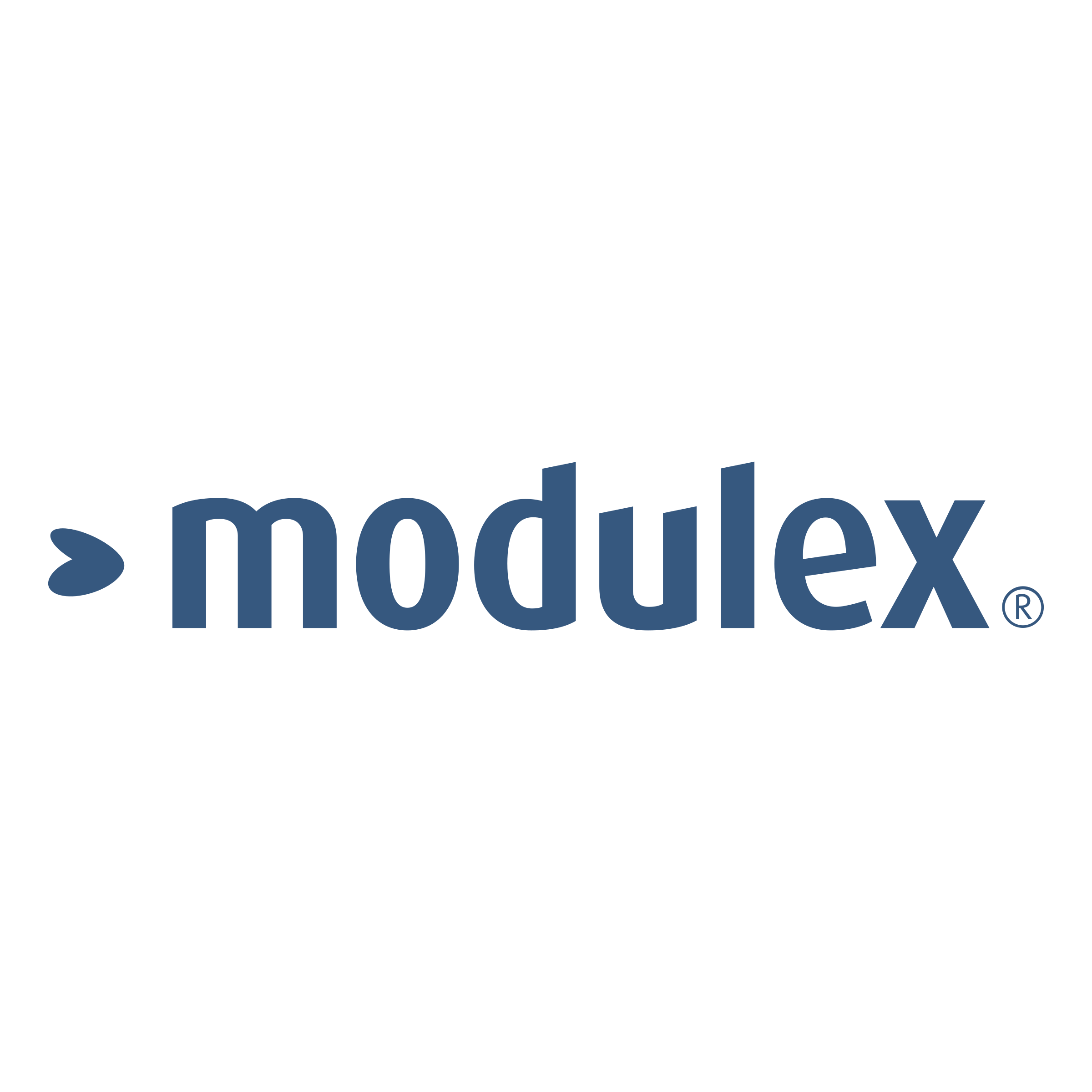 Modulex Logo png transparent
