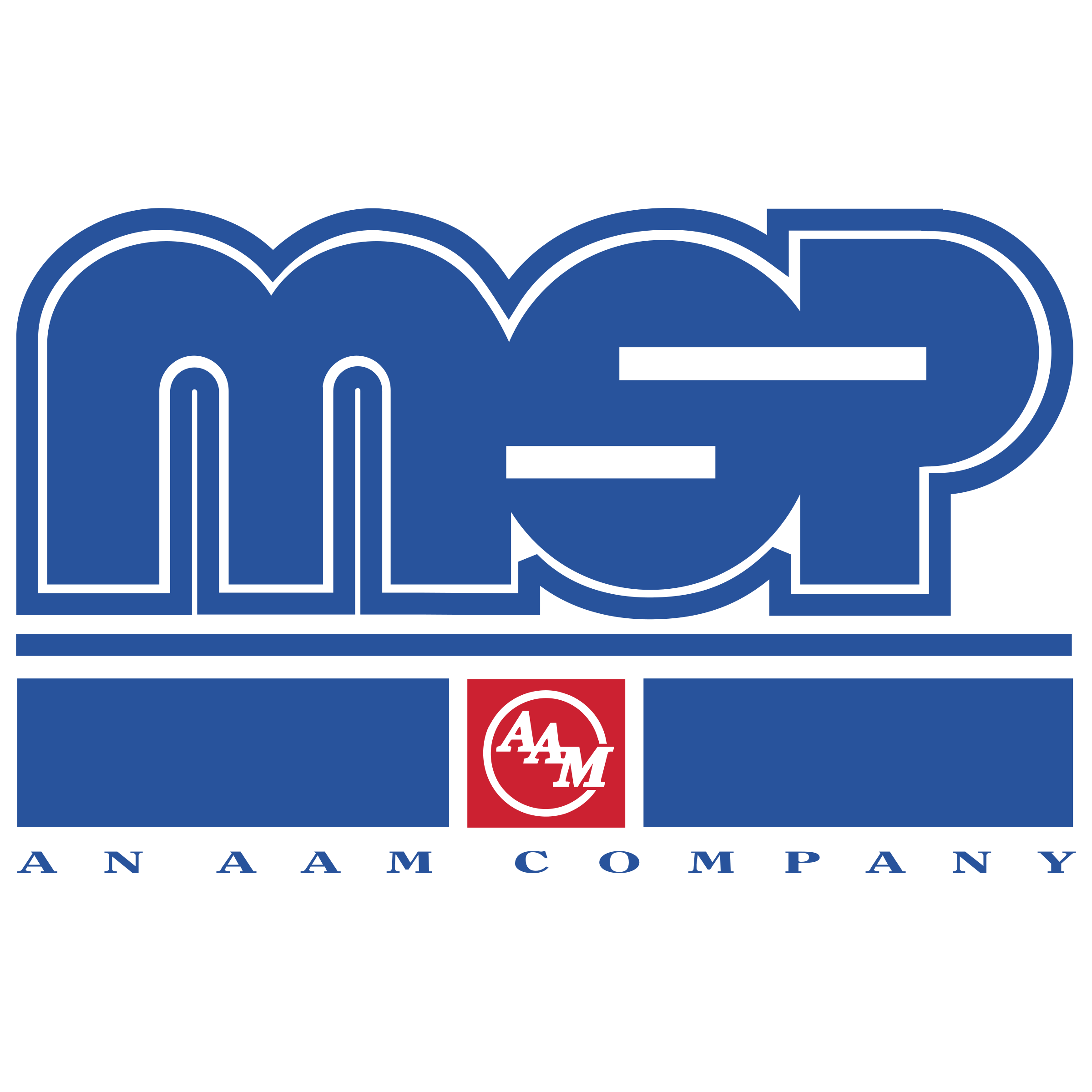 MSP Industries Logo png transparent