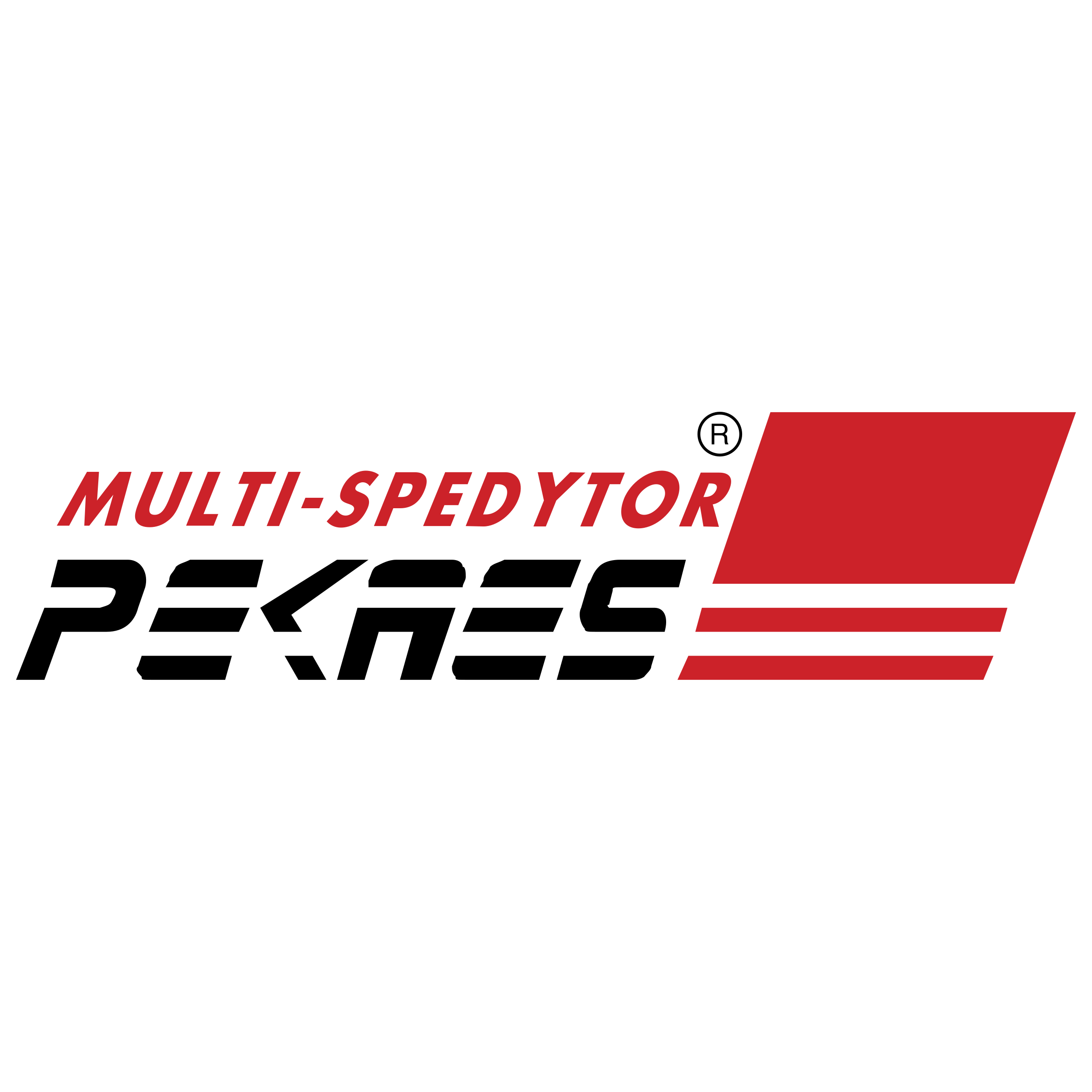 Multi Spedytor Logo png transparent