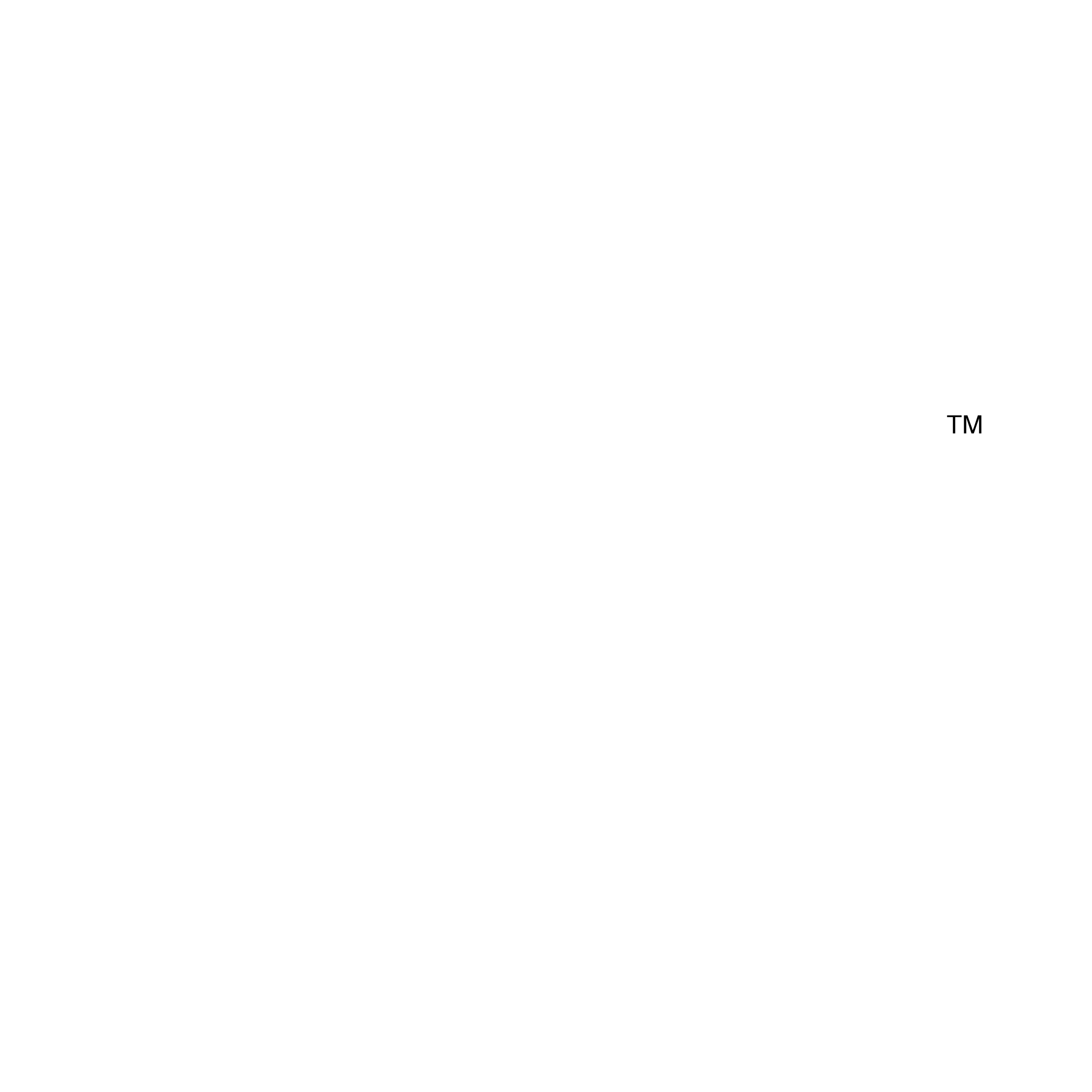 N2H2 Logo black and white