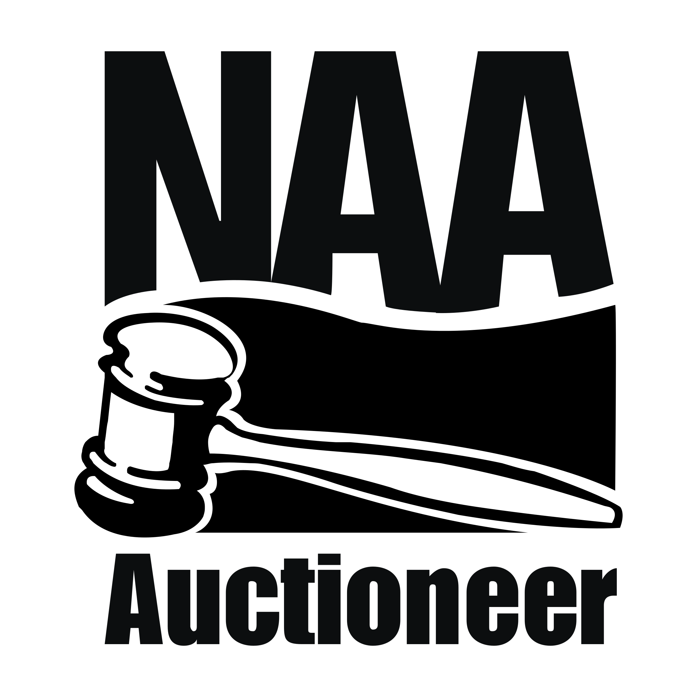 NAA Auctioneer Logo png transparent