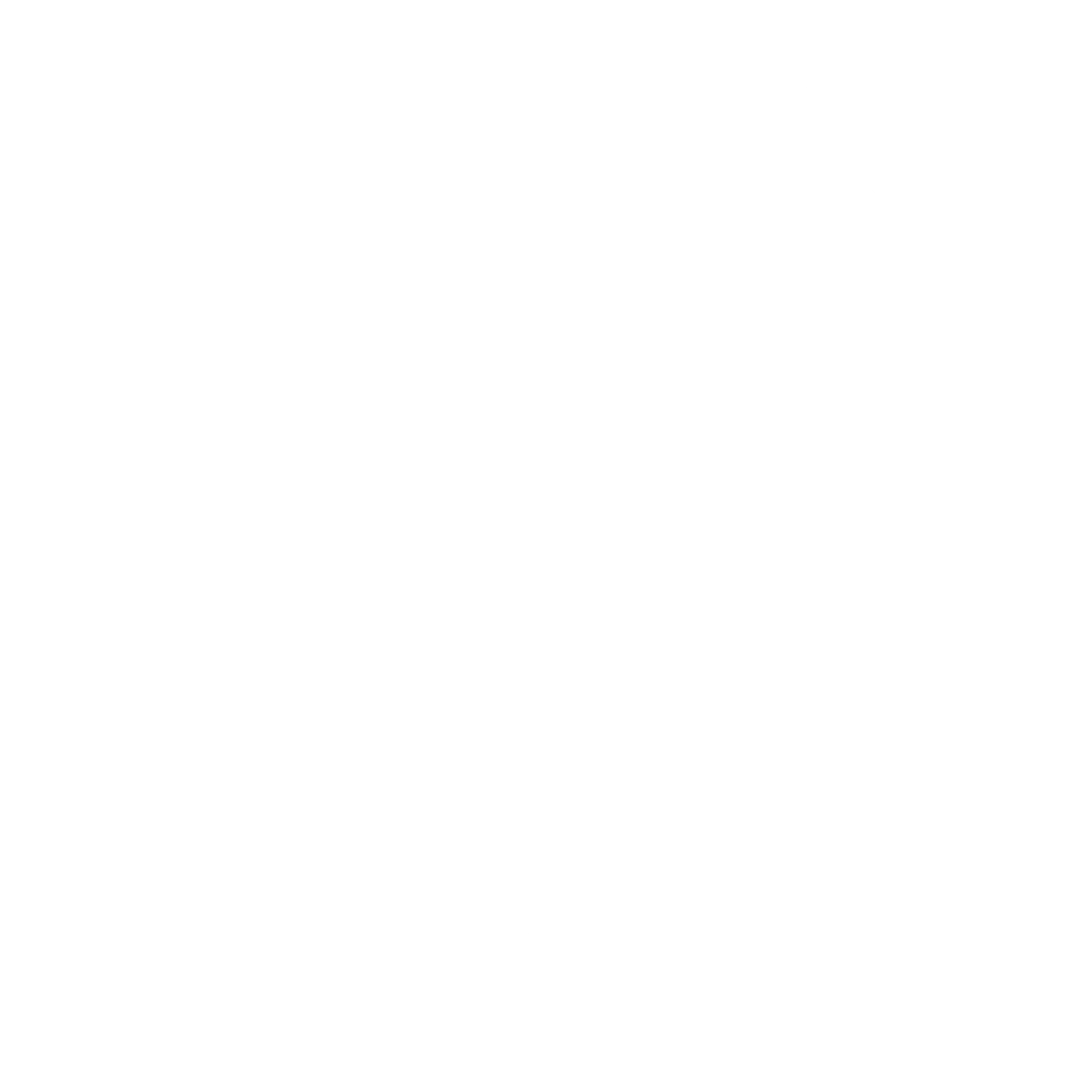 Nacional Esporte Clube de Itumbiara GO Logo black and white