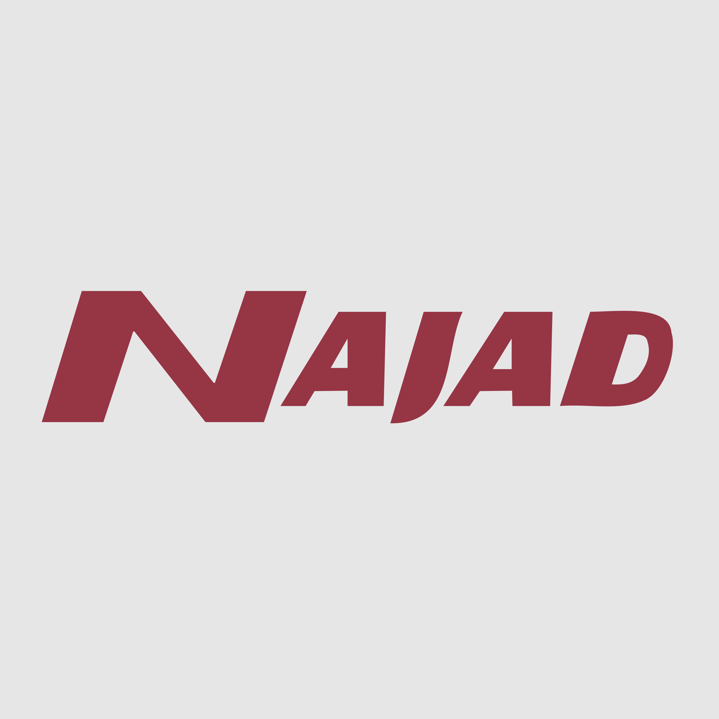 Najad Logo png transparent