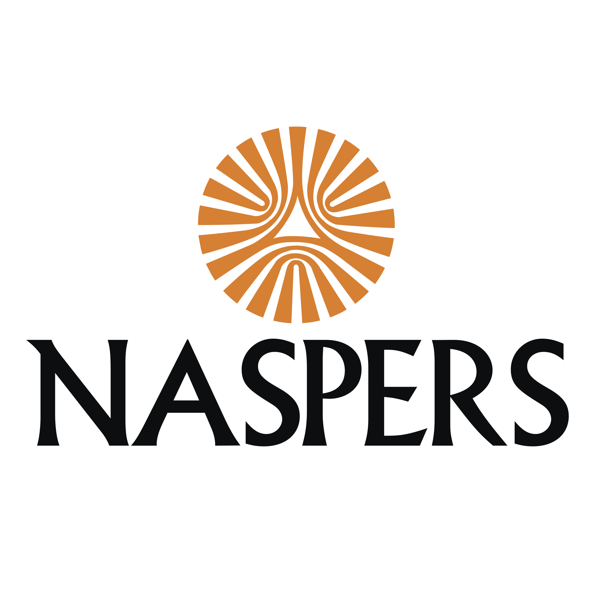 Naspers Logo png transparent