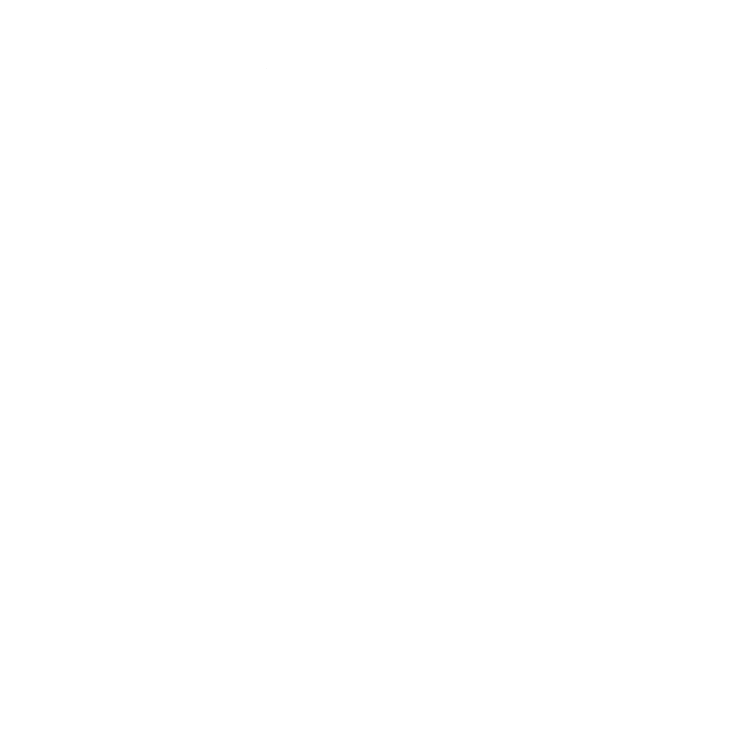 NASS Logo black and white