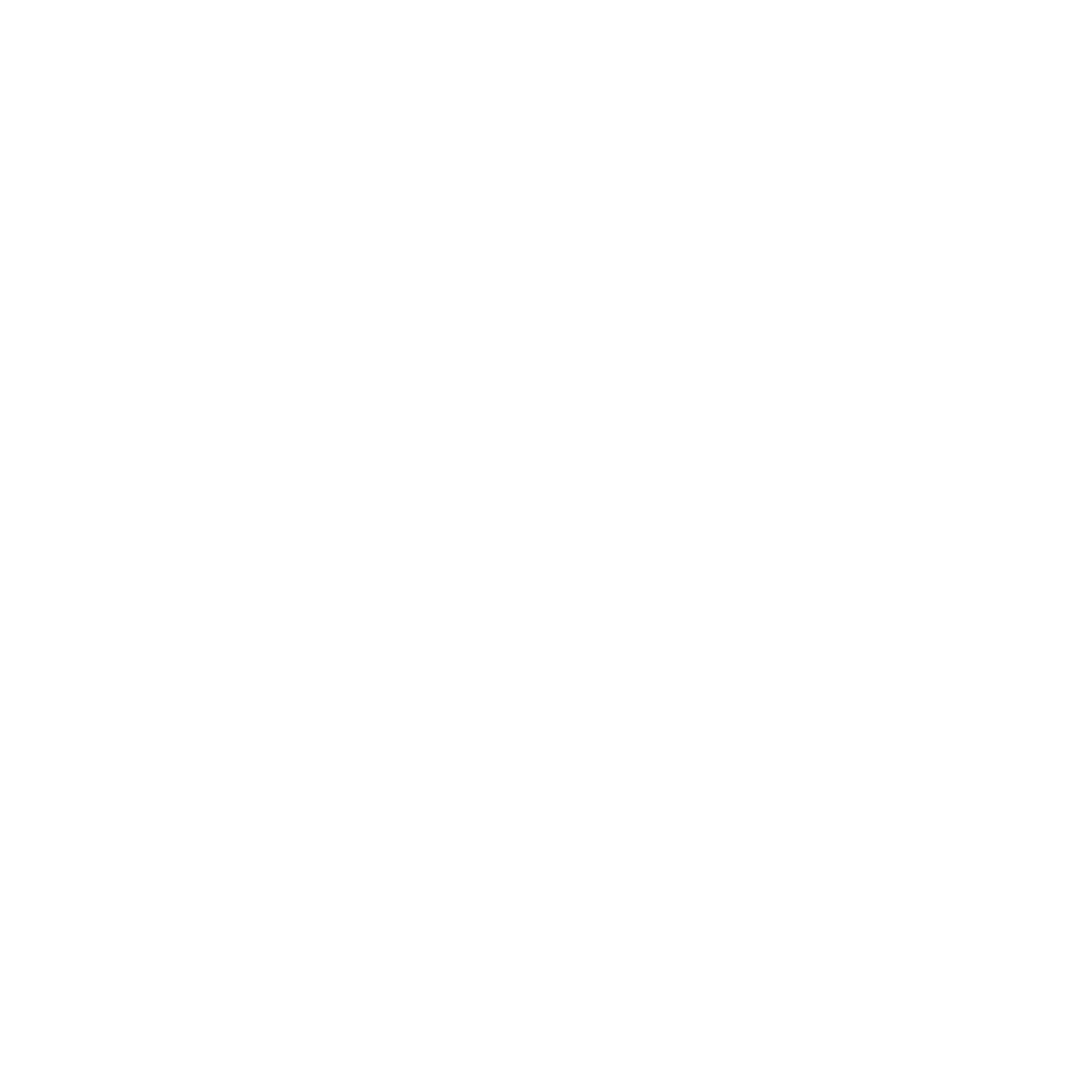 NativeScript Logo black and white