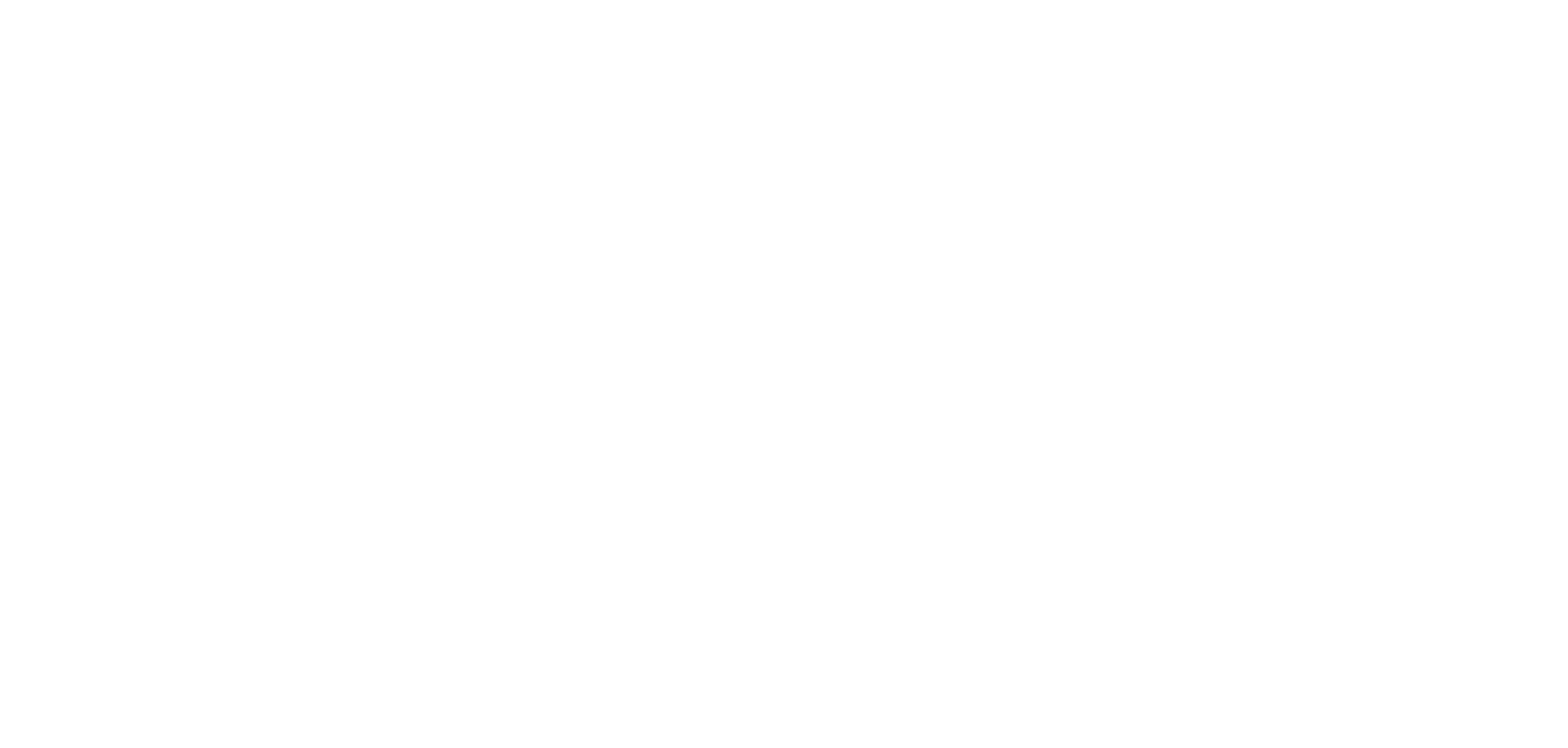 Naturalizer Logo black and white