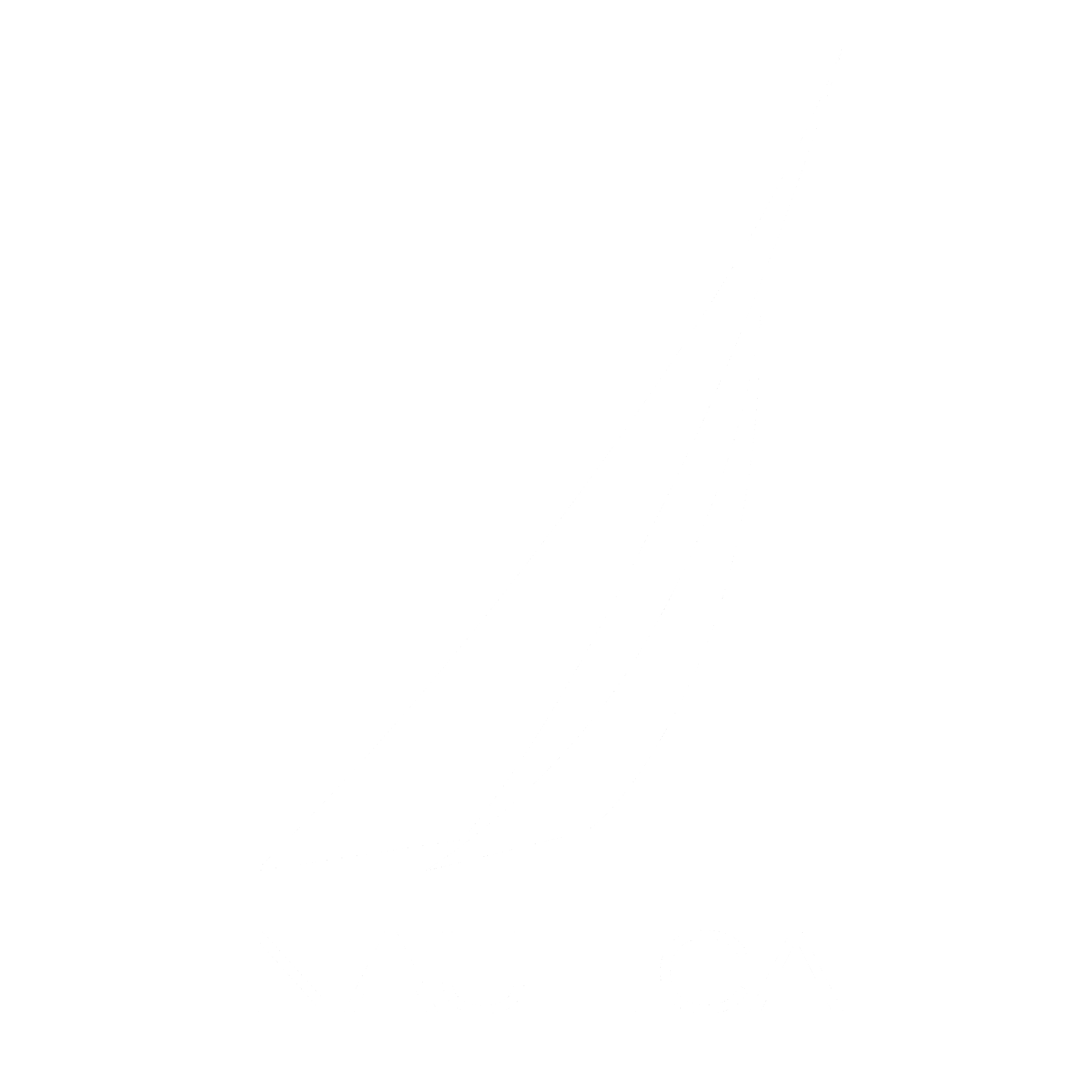 Nautica Logo black and white