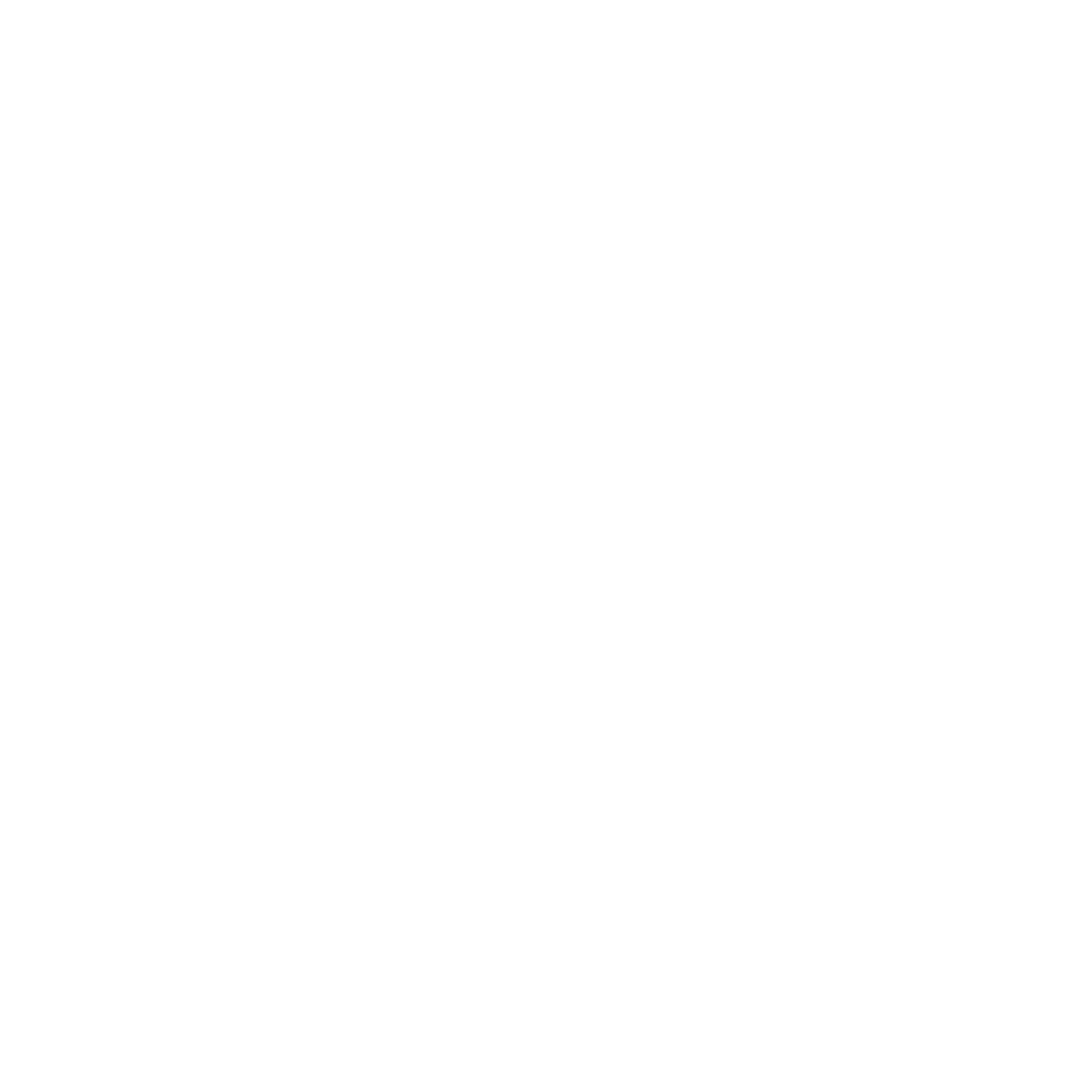 Navision Software Logo black and white