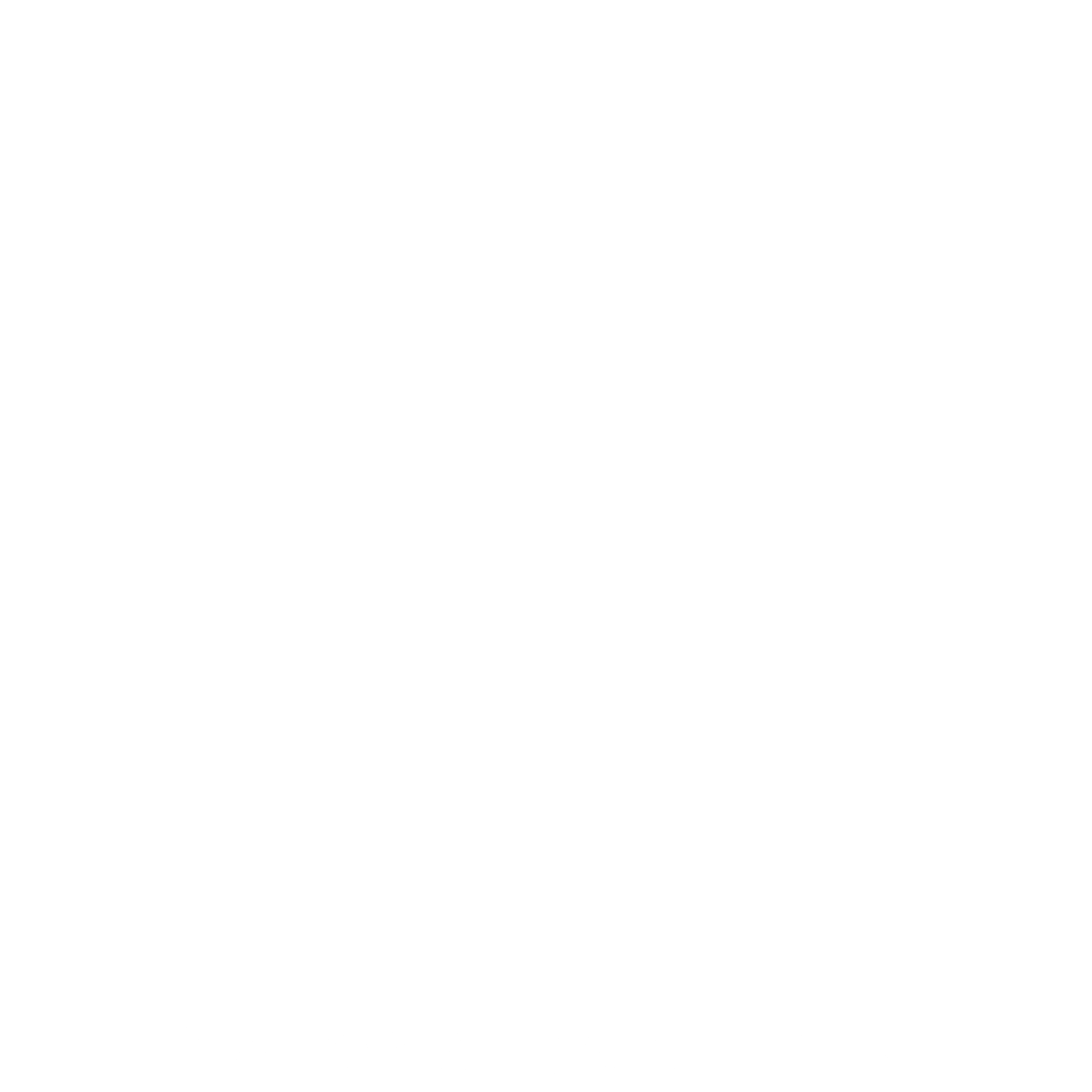 NDW Logo black and white