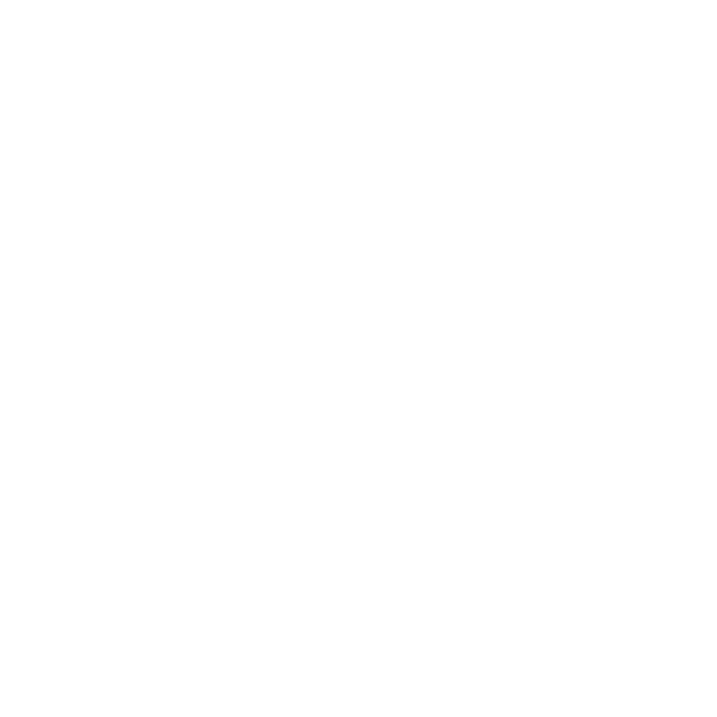 Nelss Logo black and white