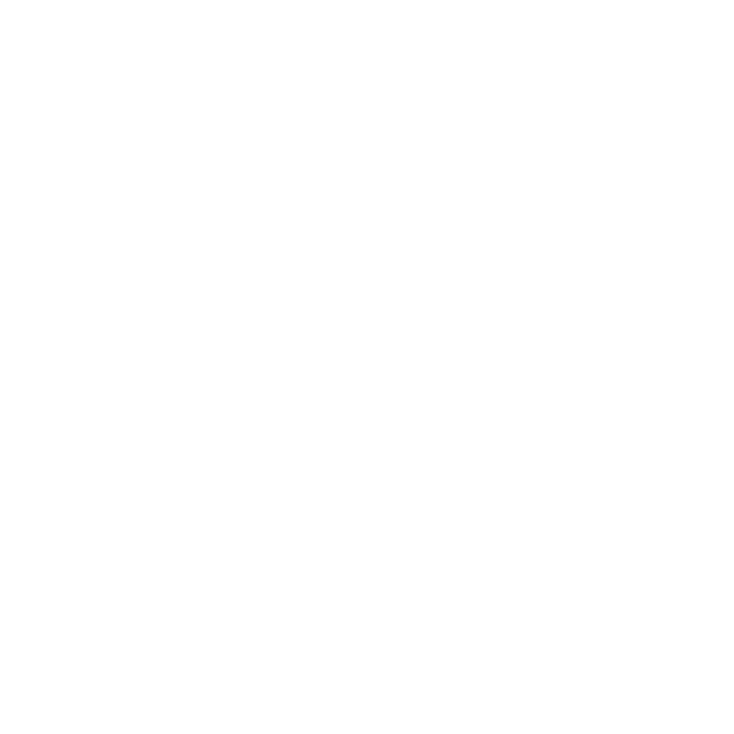 Nes Logo black and white