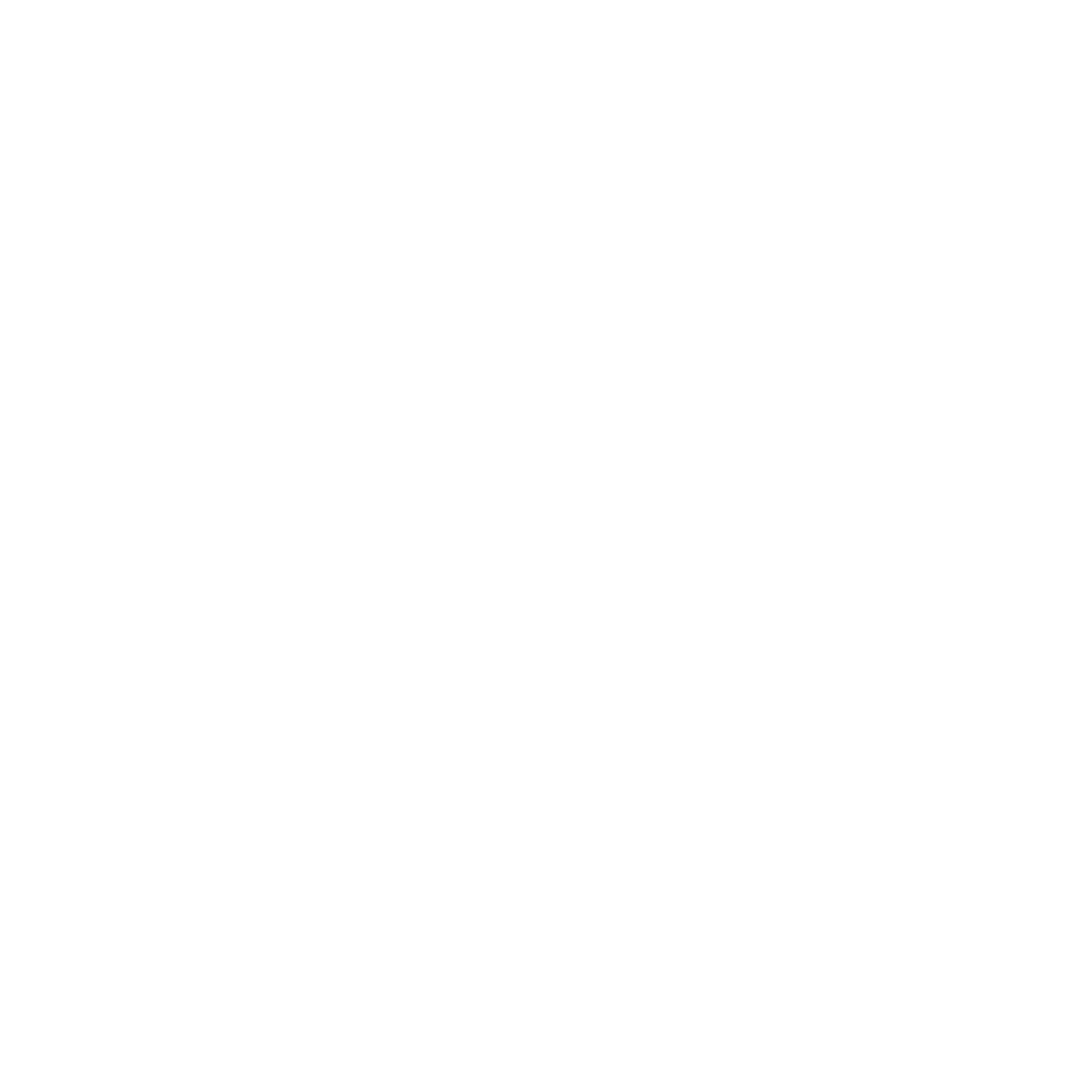 Netas Logo black and white