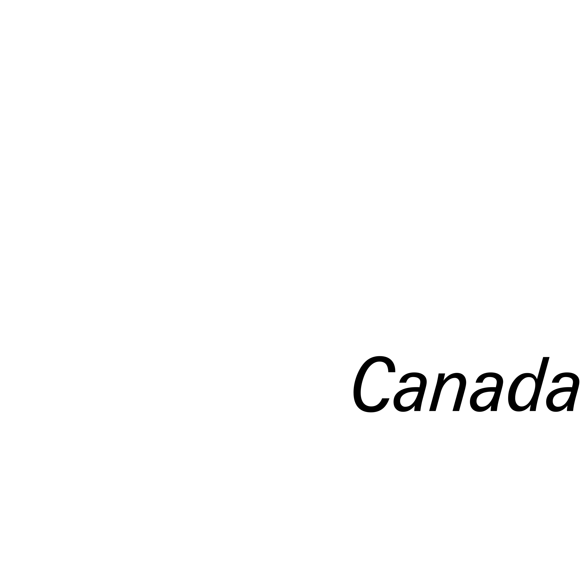 Netcom Canada Logo black and white