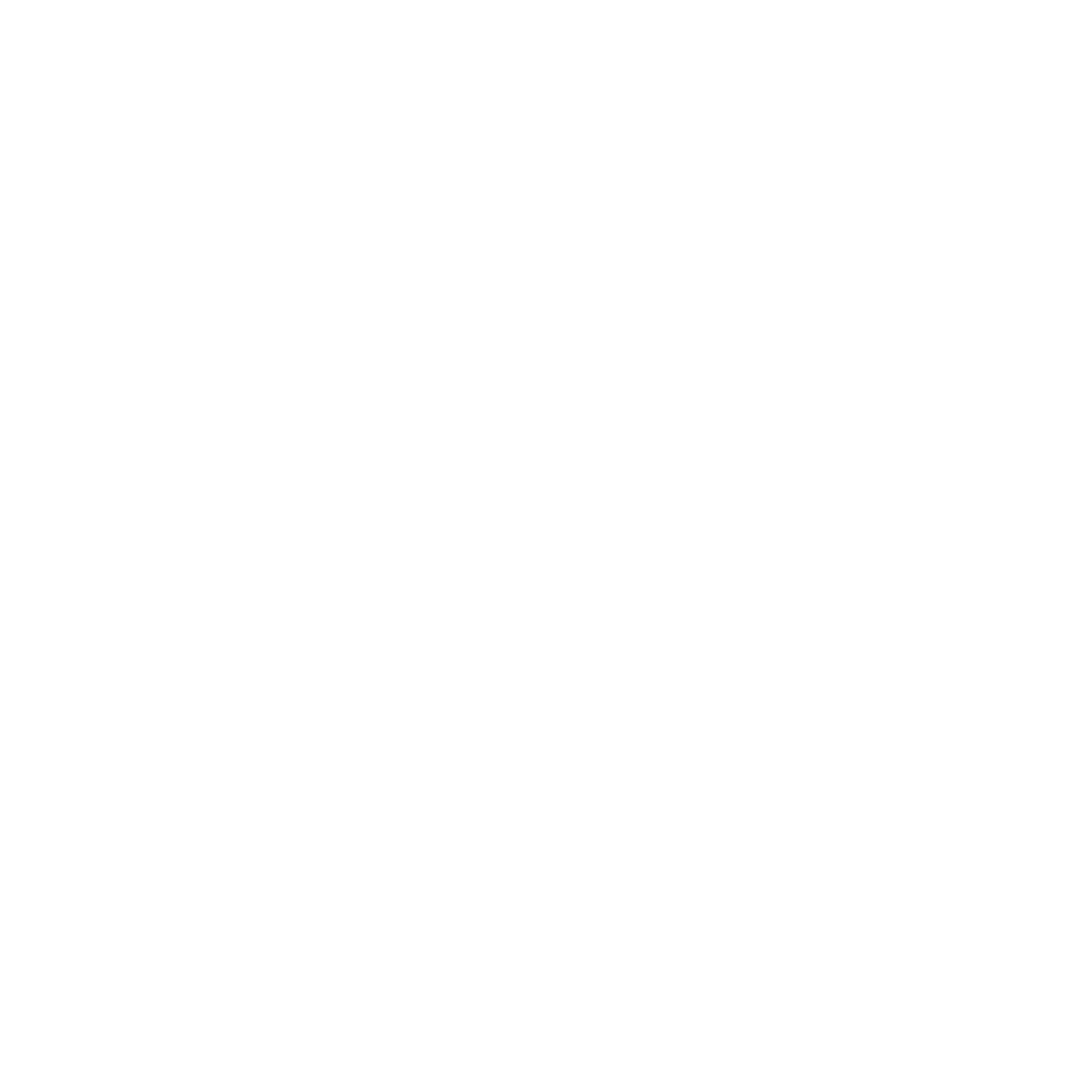 Netegrity Logo black and white