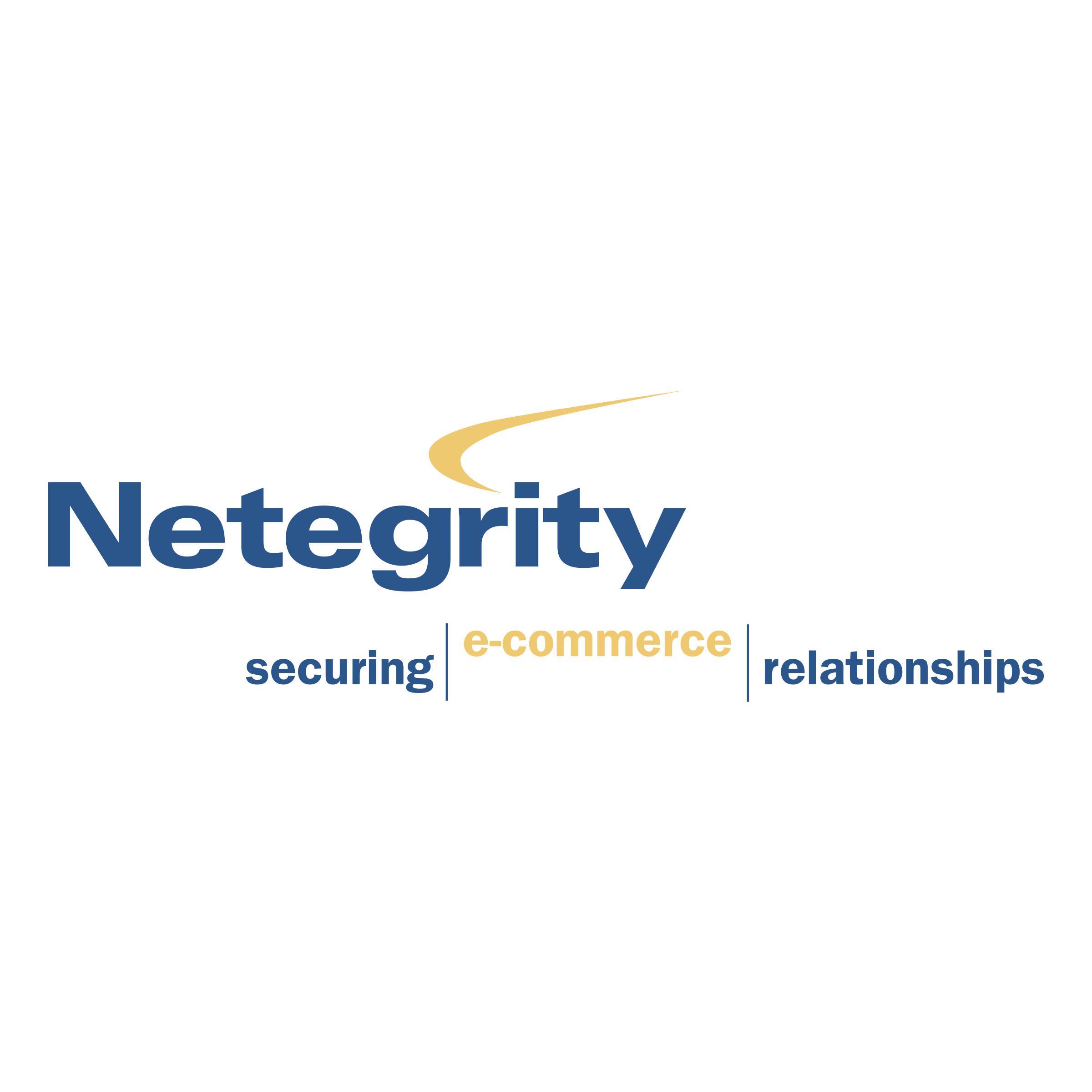 Netegrity Logo png transparent