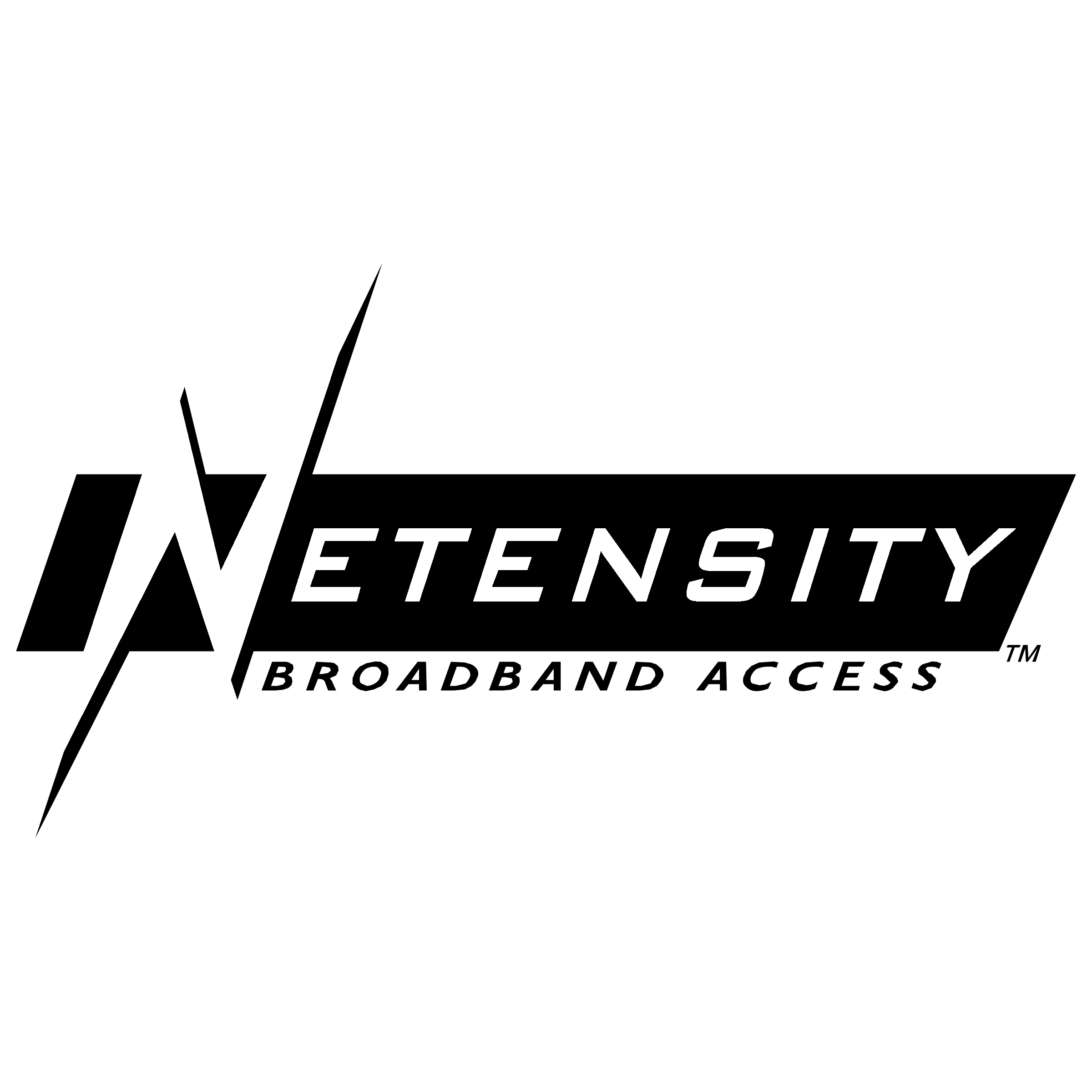 Netensity Logo black and white