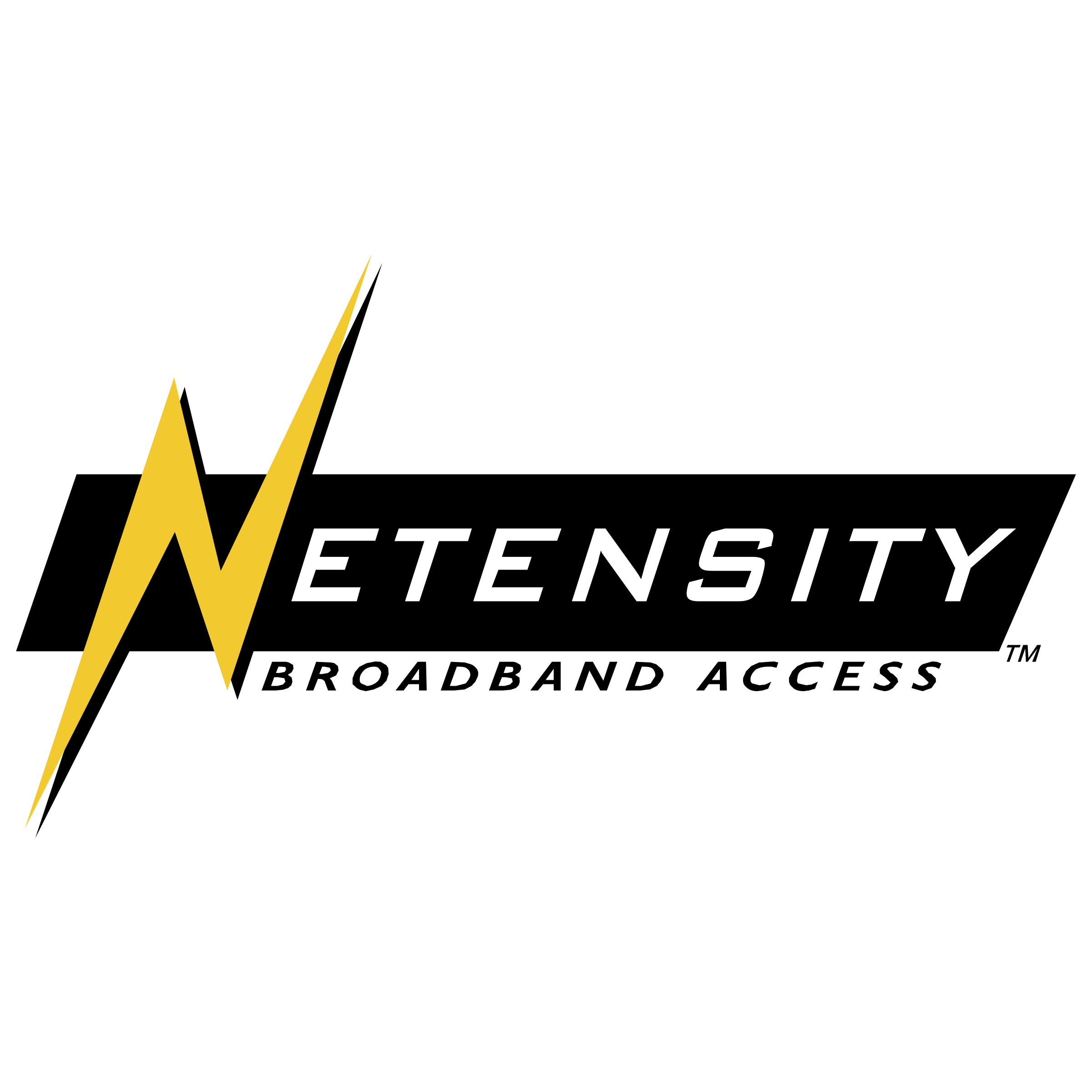 Netensity Logo png transparent