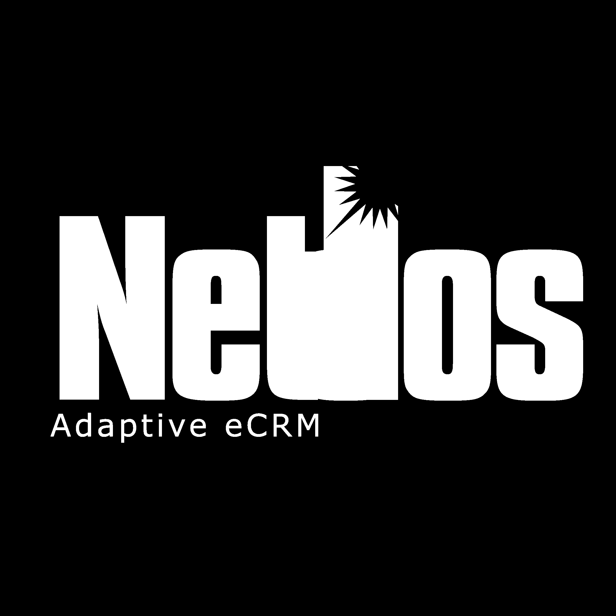 Neteos Logo black and white