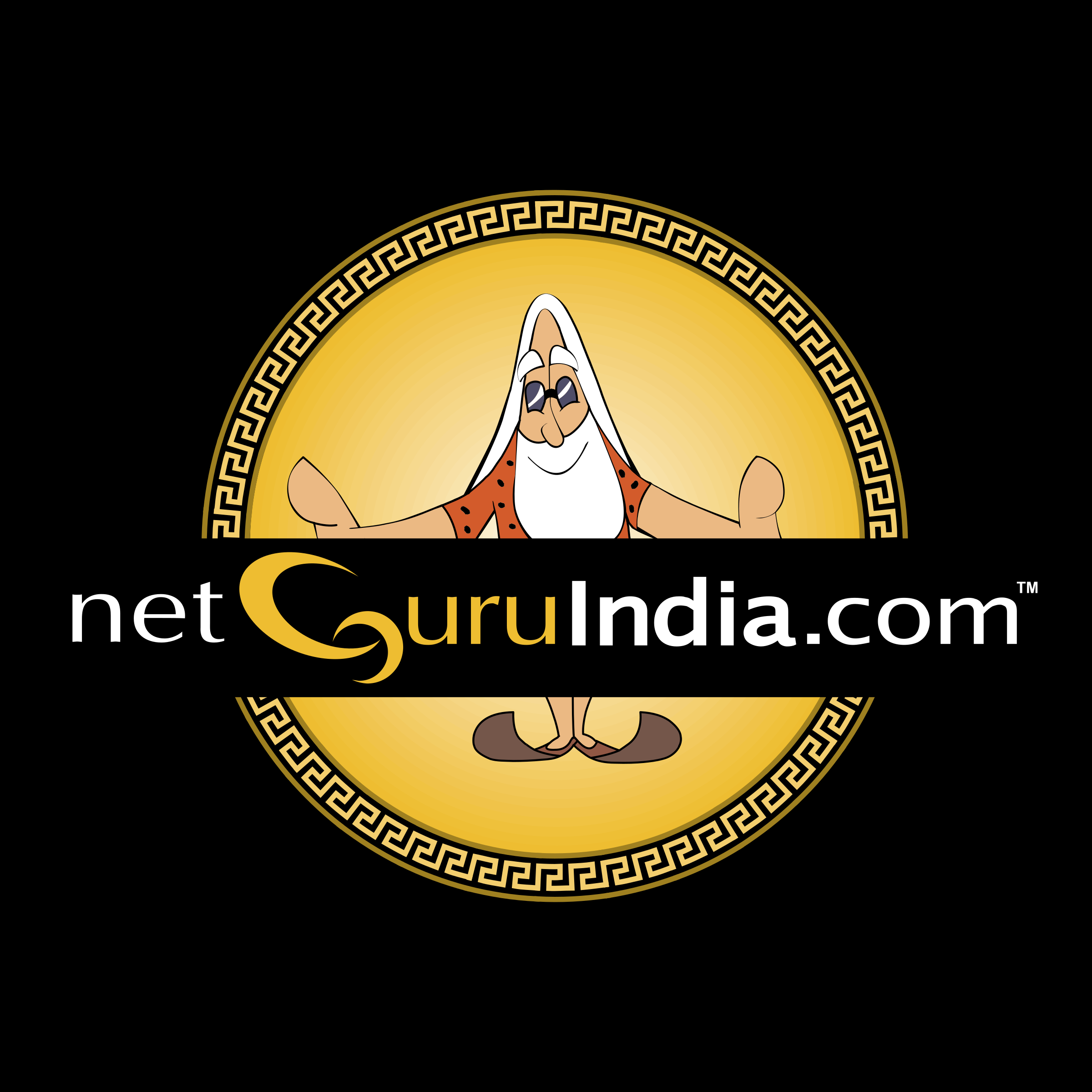 NetGuruIndia com Logo png transparent