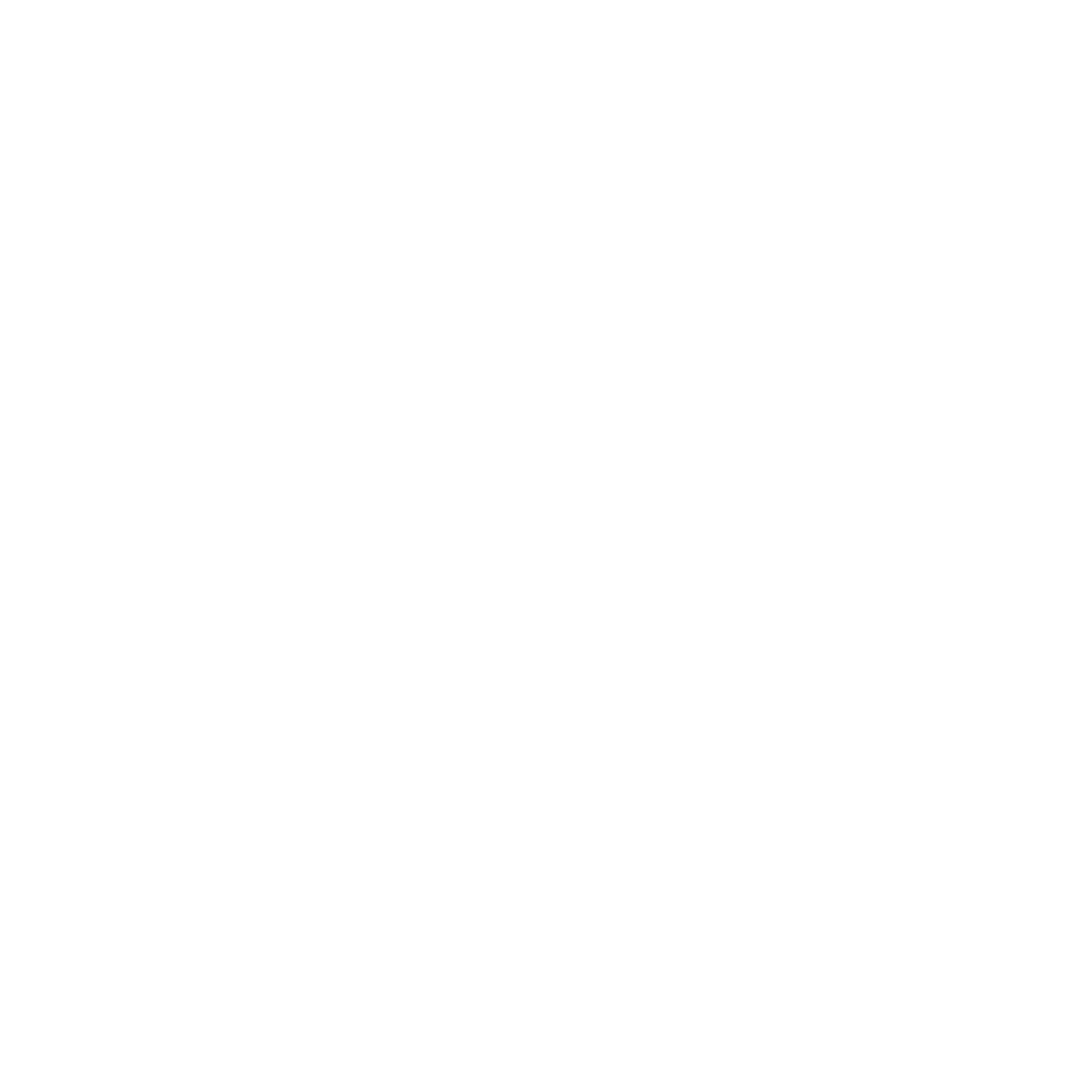 Netic Logo black and white